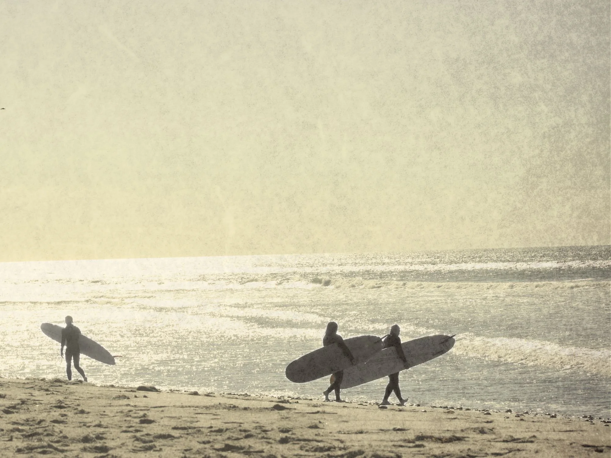 FINAL Art Project.jpg