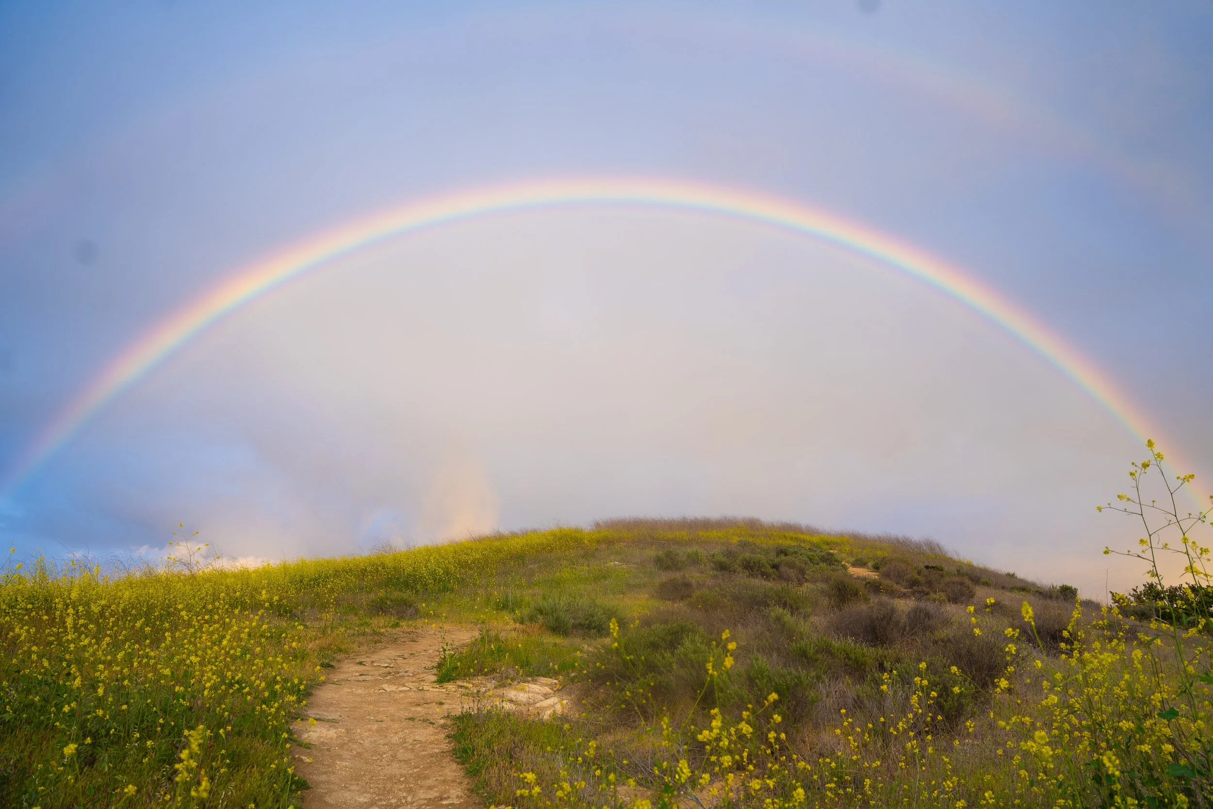french hill | sony a7iii