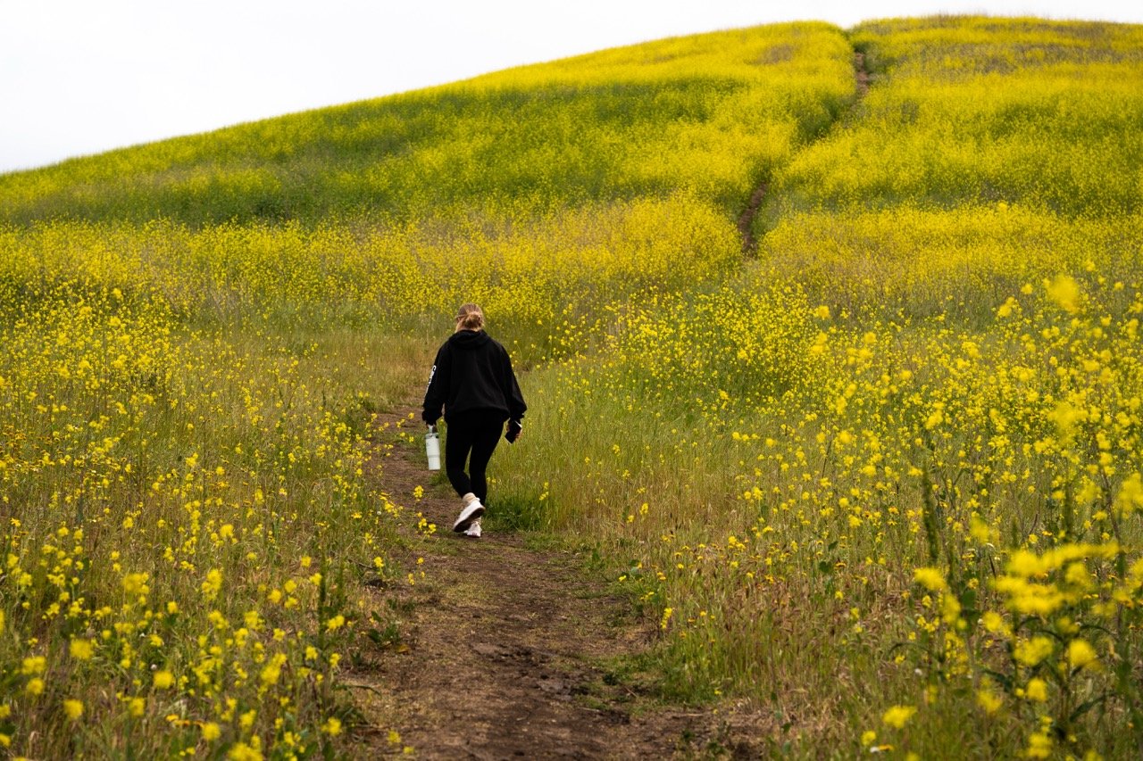 french hill | sony a7iii
