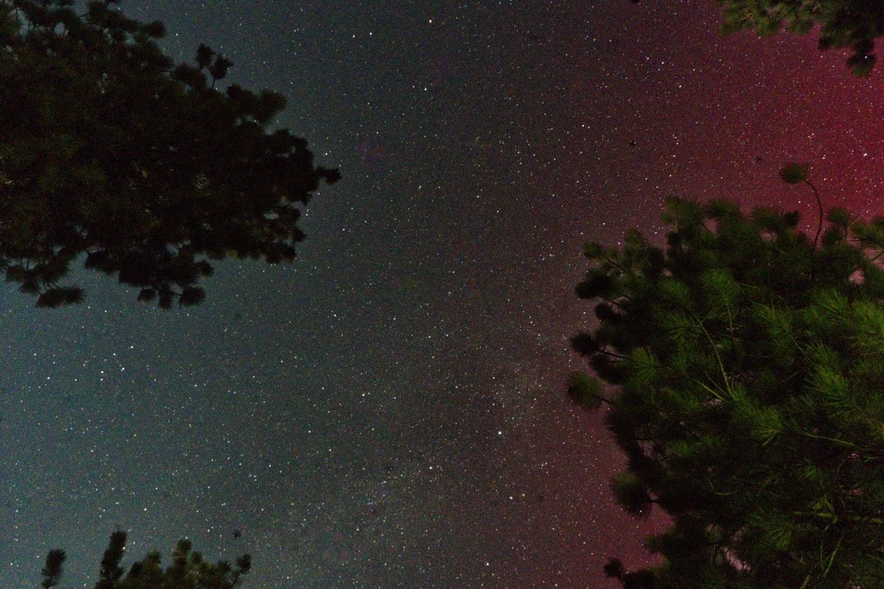 HMN07164 (1) Large.jpeg