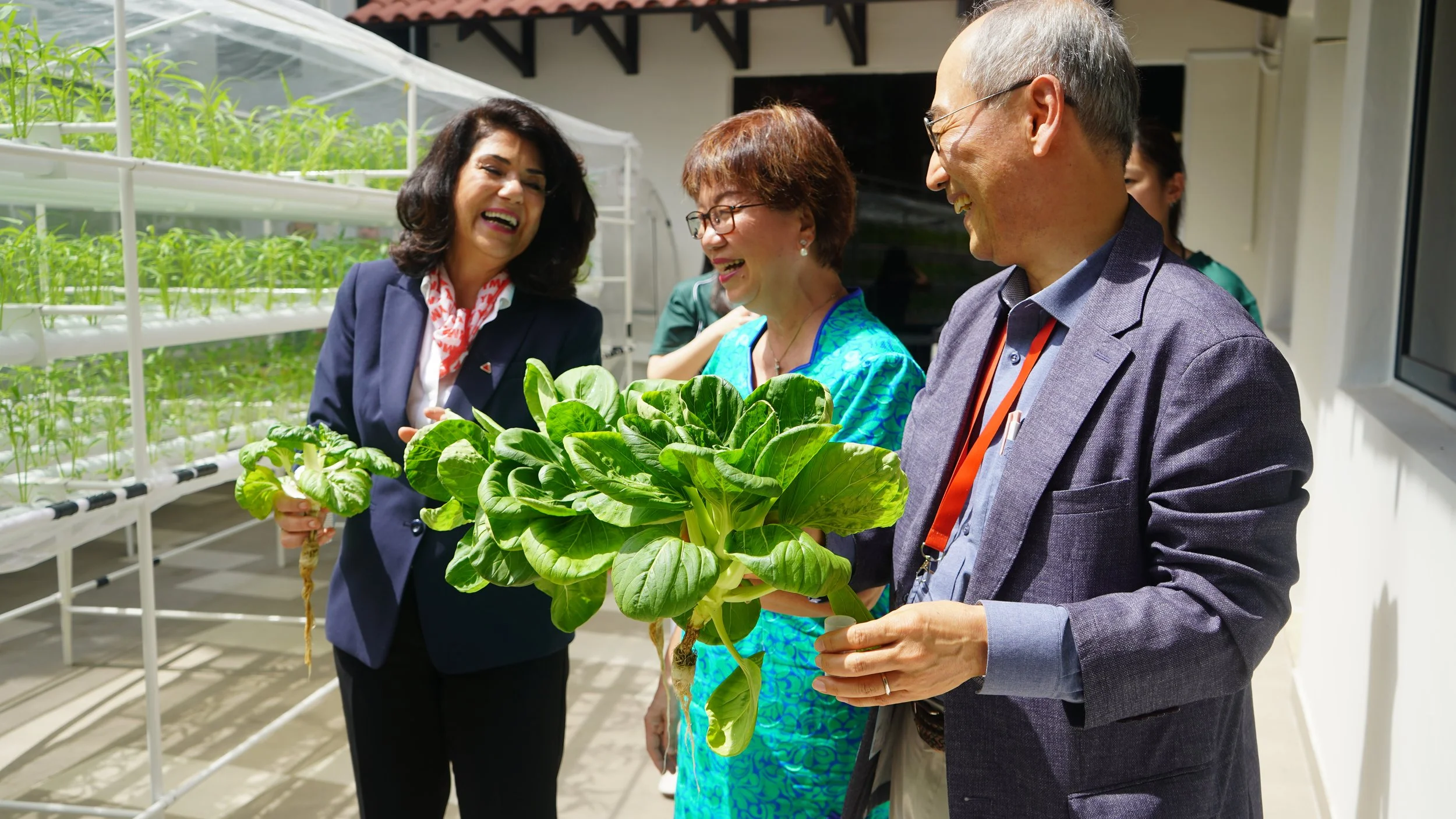 Launch of Green Futures Hub