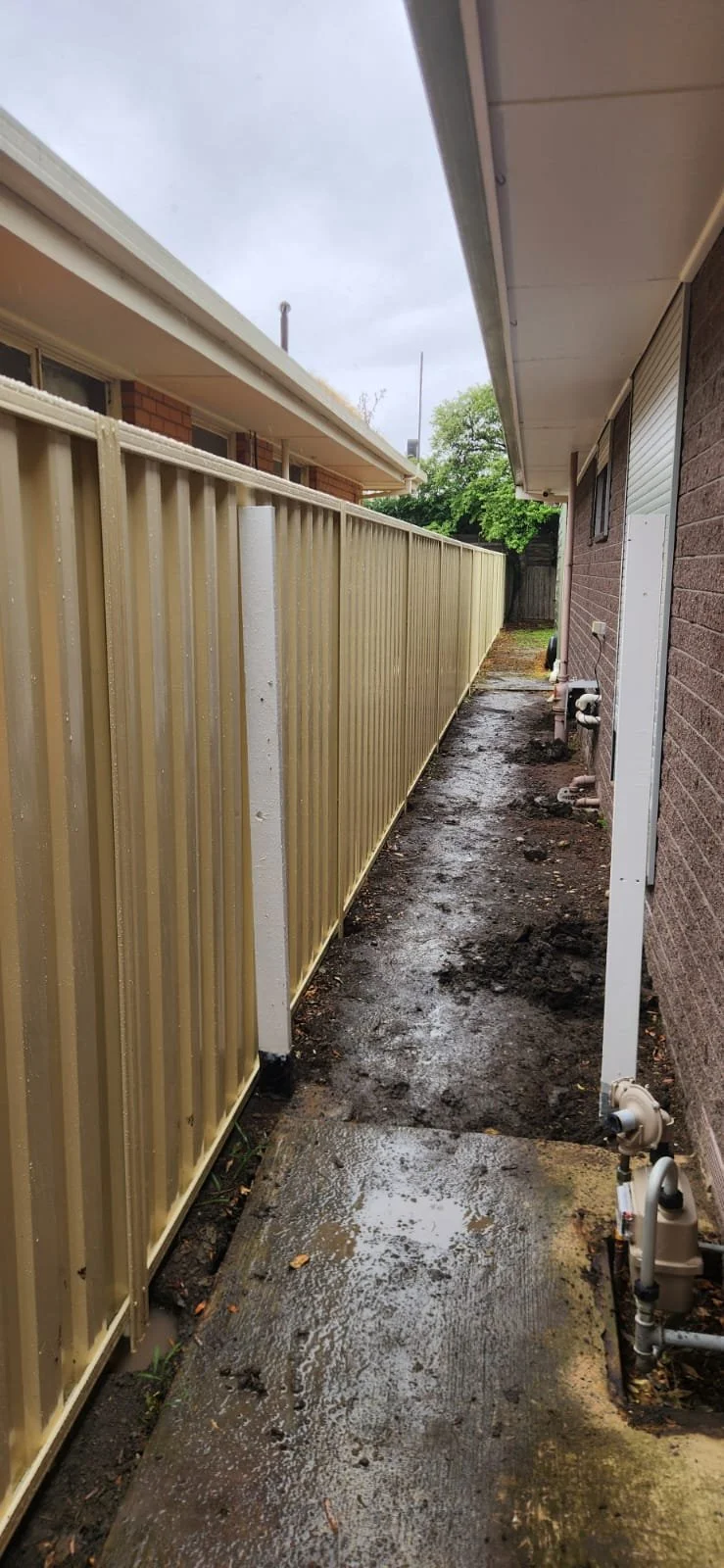 Side yard with a new beige fence along a brick house, wet concrete walkway, and muddy ground, slight overcast sky.