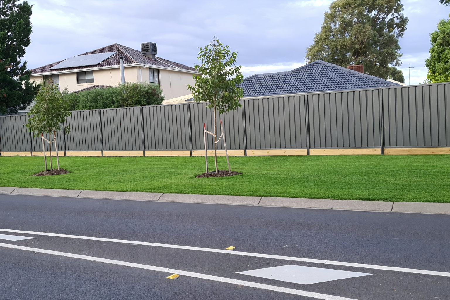 Street view with two newly planted trees supported by stakes, a gray metal fence, a house with solar panels and a sloped roof, and a cloudy sky.