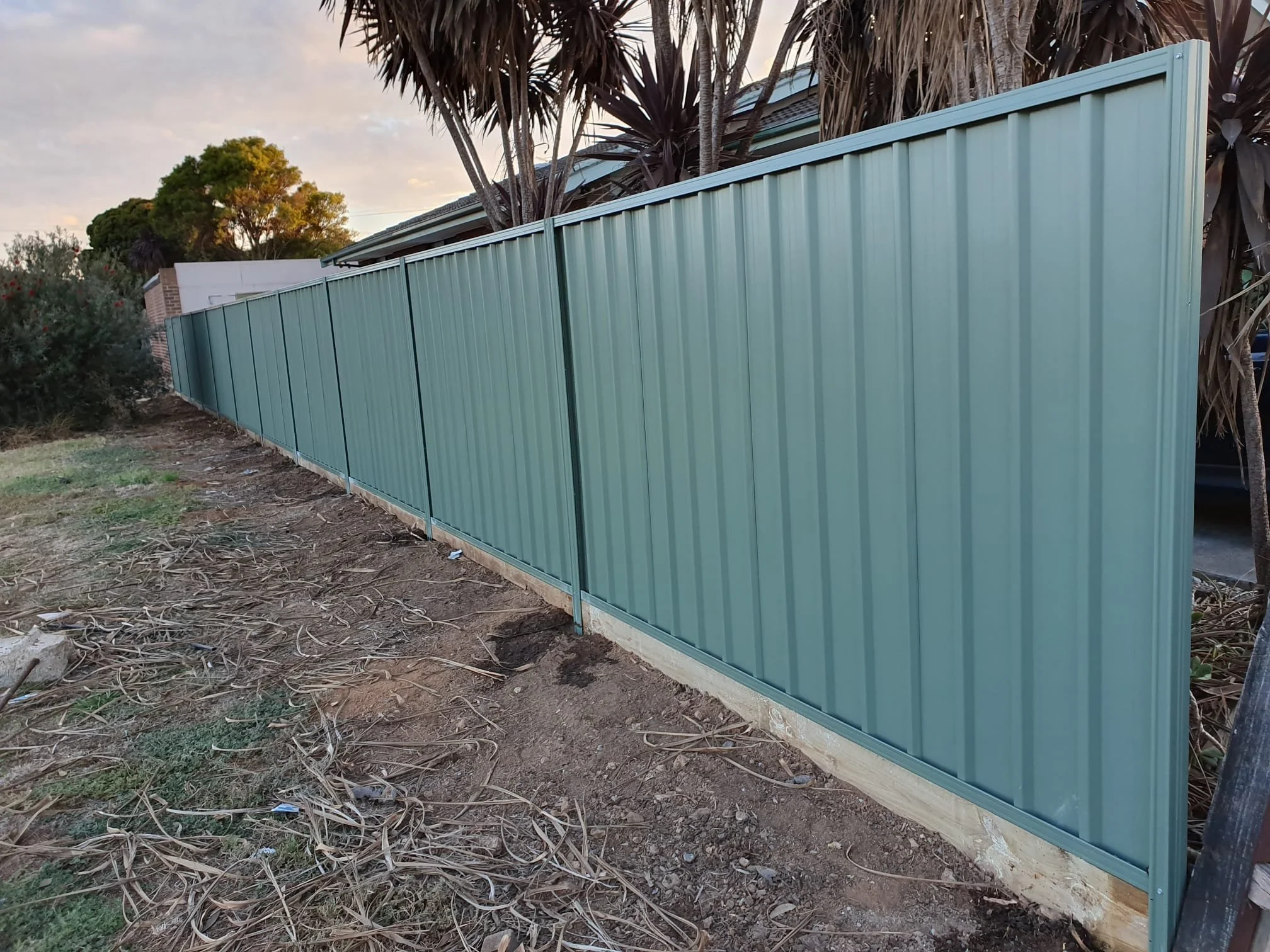 Green metal fence panels installed along a dirt pathway, with some plants and trees in the background, during sunset.