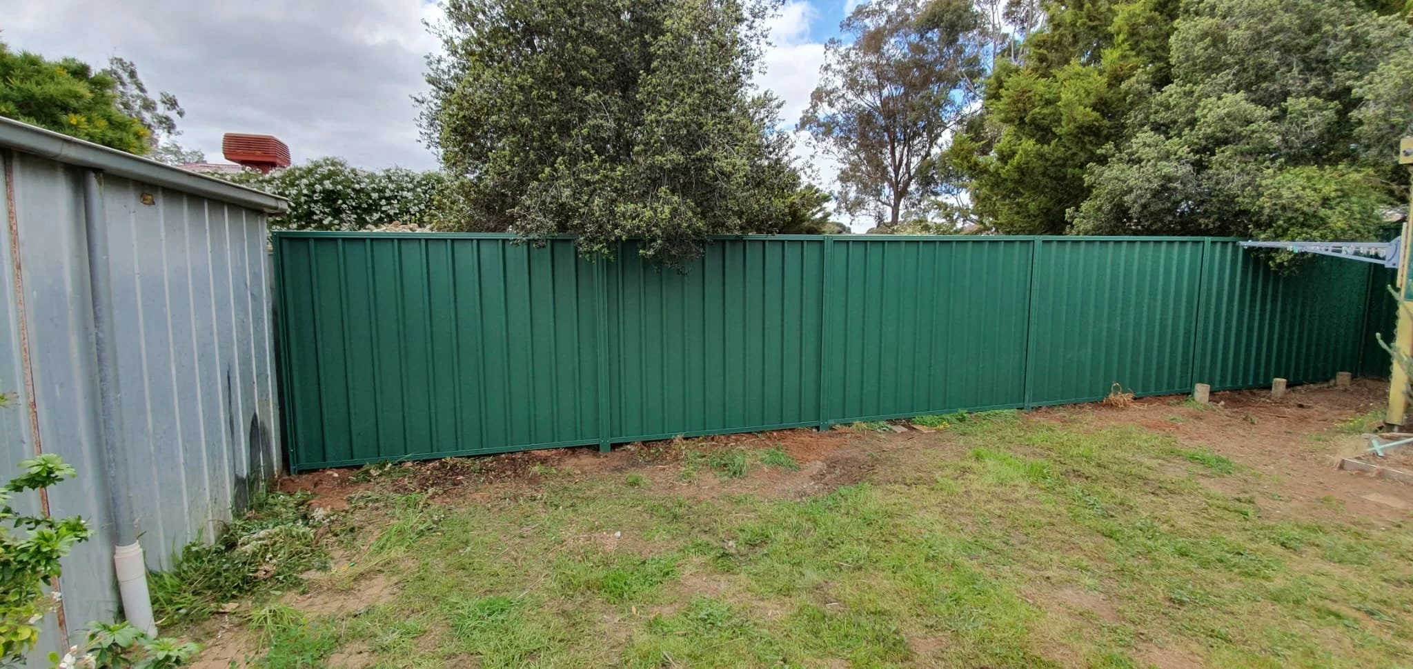 Green metal privacy fence in a backyard, with trees and cloudy sky in background.