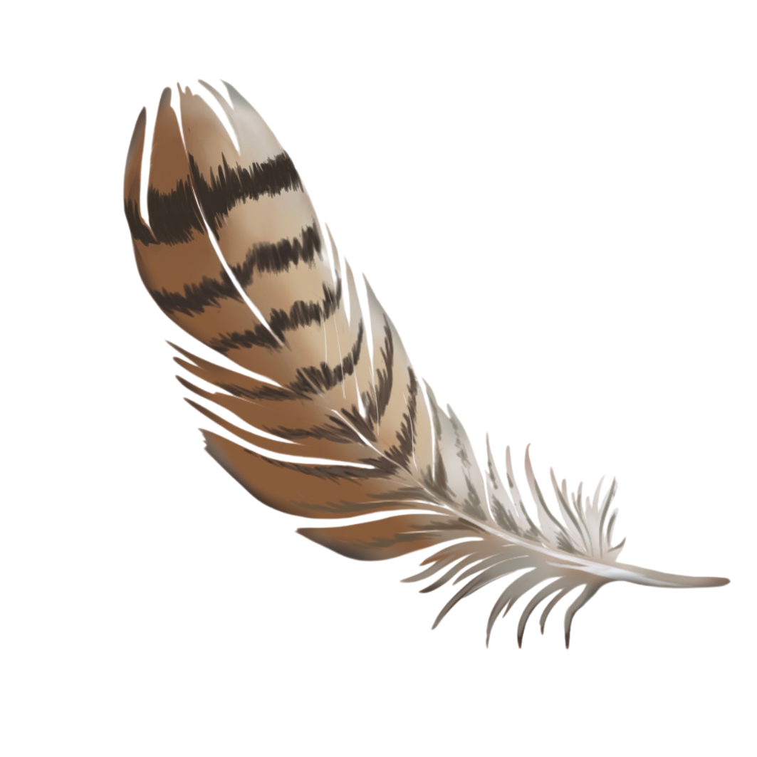 Feather.png