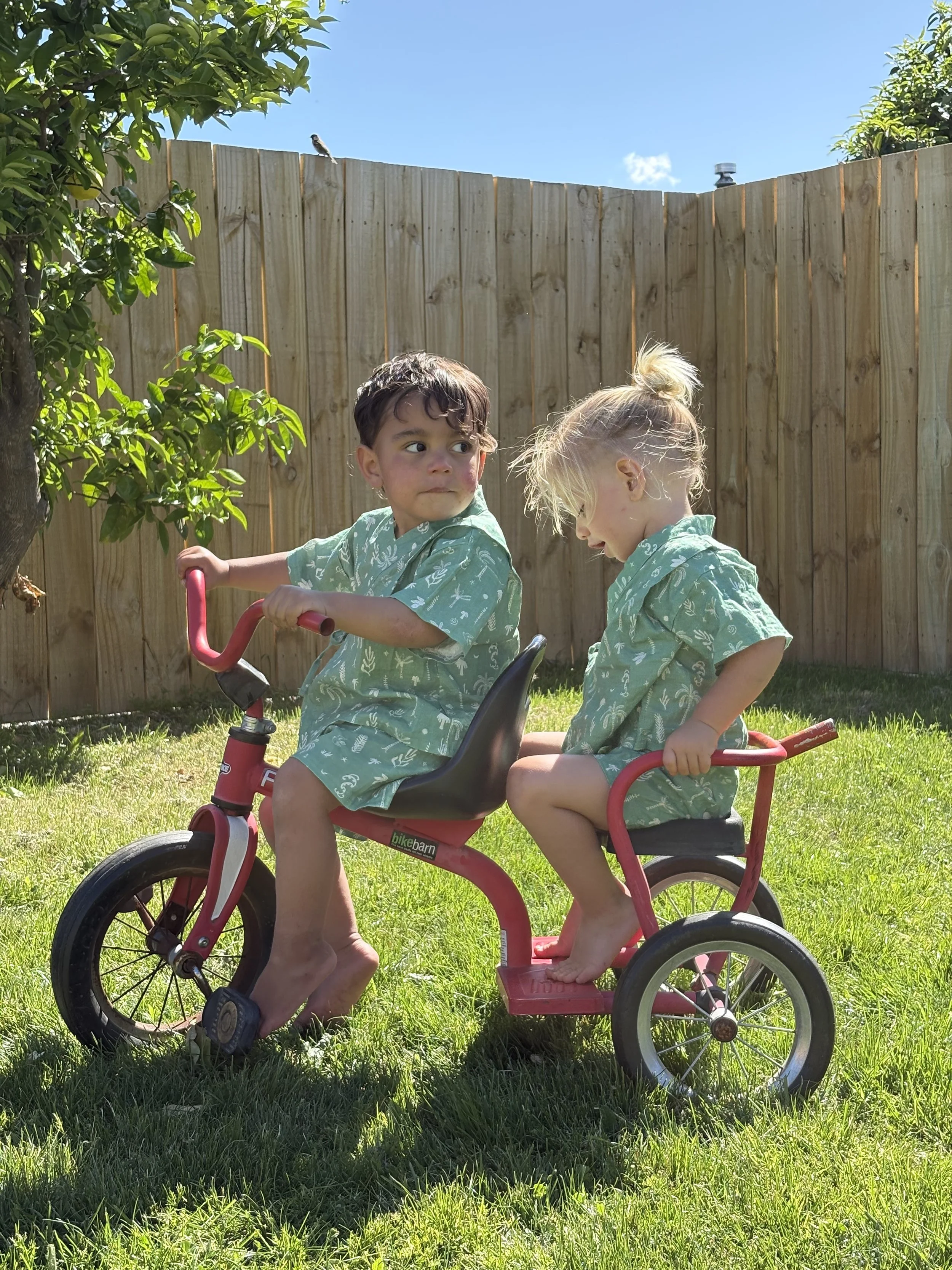 Two young children with matching green shirts riding a pink tricycle in a backyard with green grass, a wooden fence, and a tree. One child is sitting on the tricycle seat, and the other is sitting on a rear seat, both barefoot. The scene is outdoors on a sunny day.