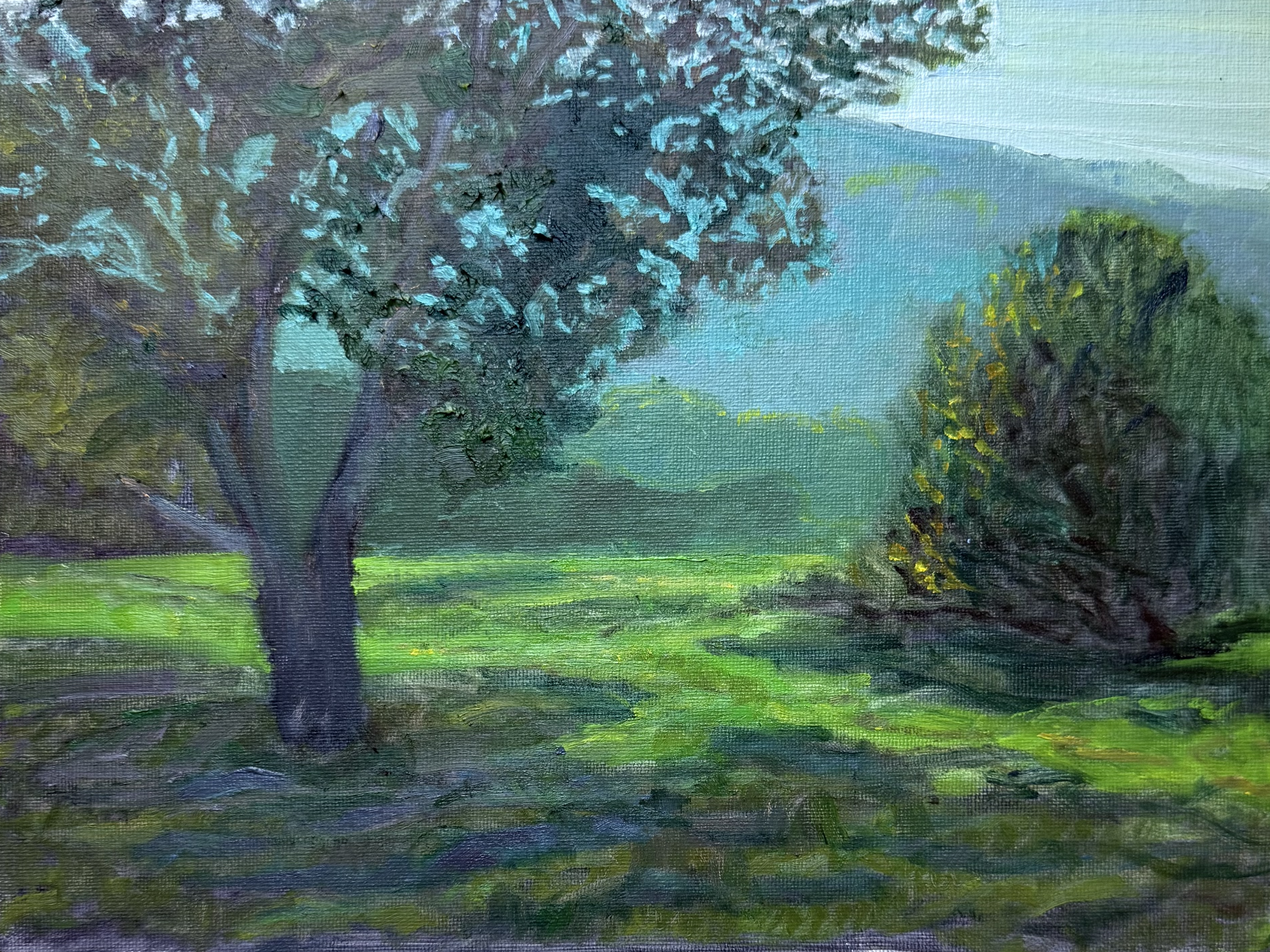 "Afternoon Glow". 9x12 Oil $650.