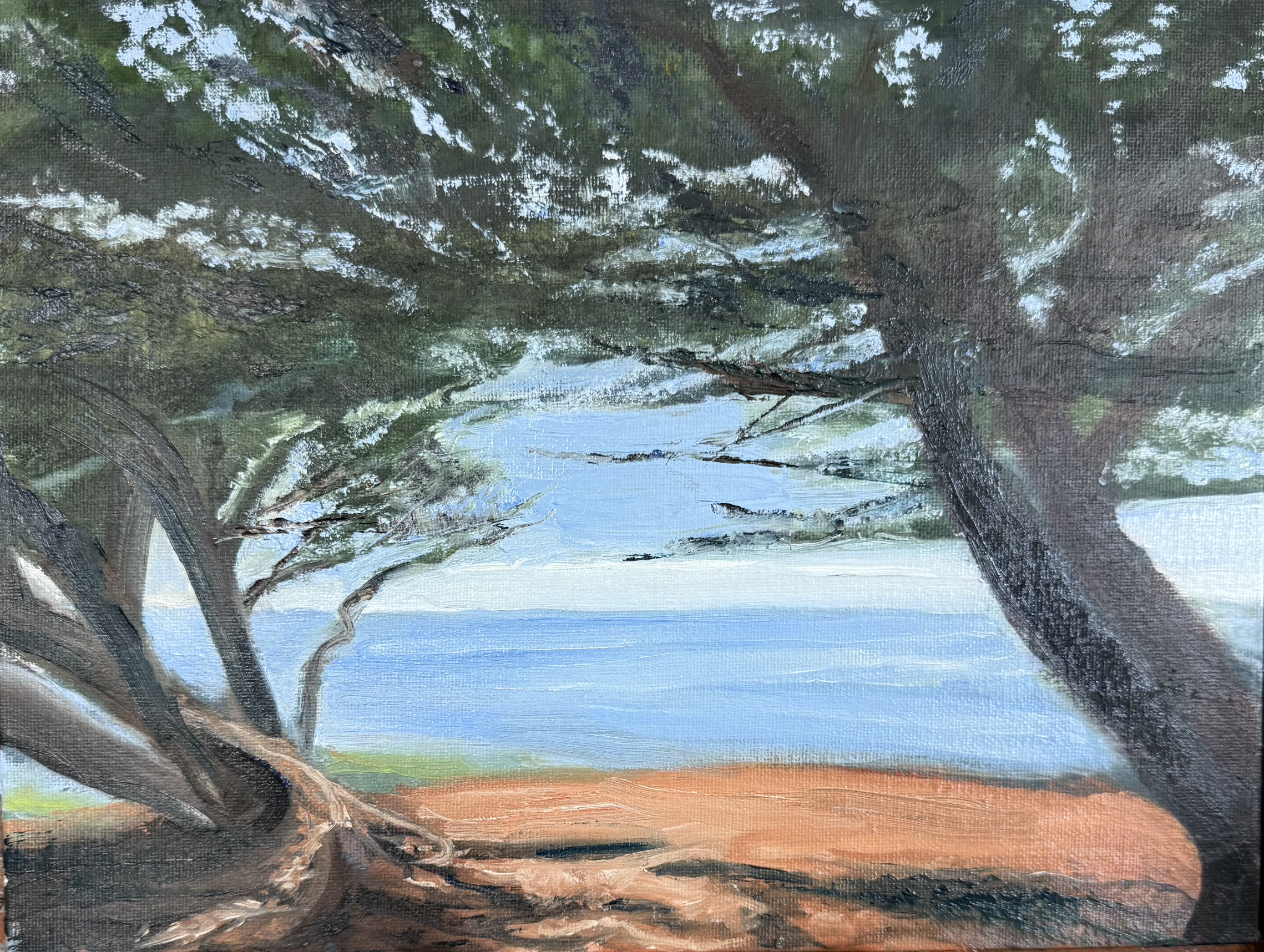 "Cypress Lights"  9x12 Oil. $650.