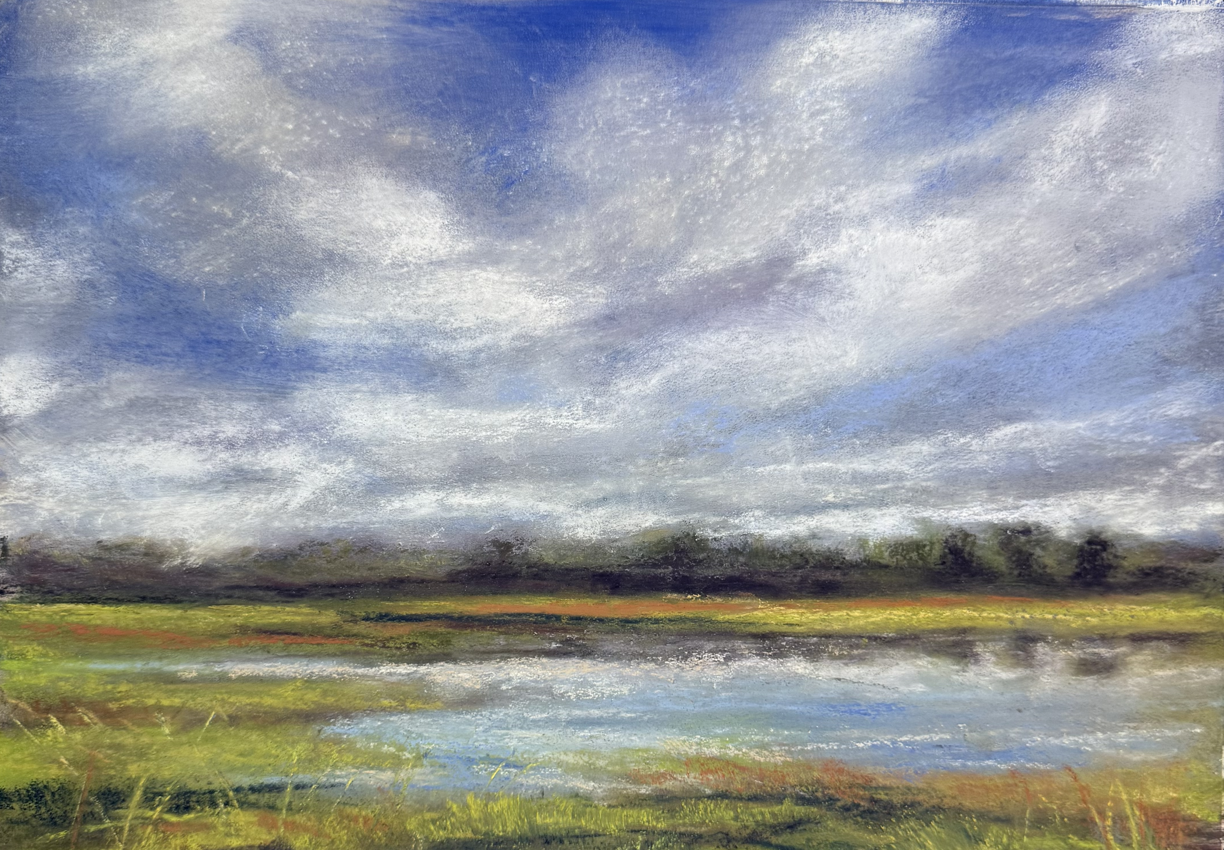 "San Joaquin Marsh Reverie" 9x12 Pastel $650.