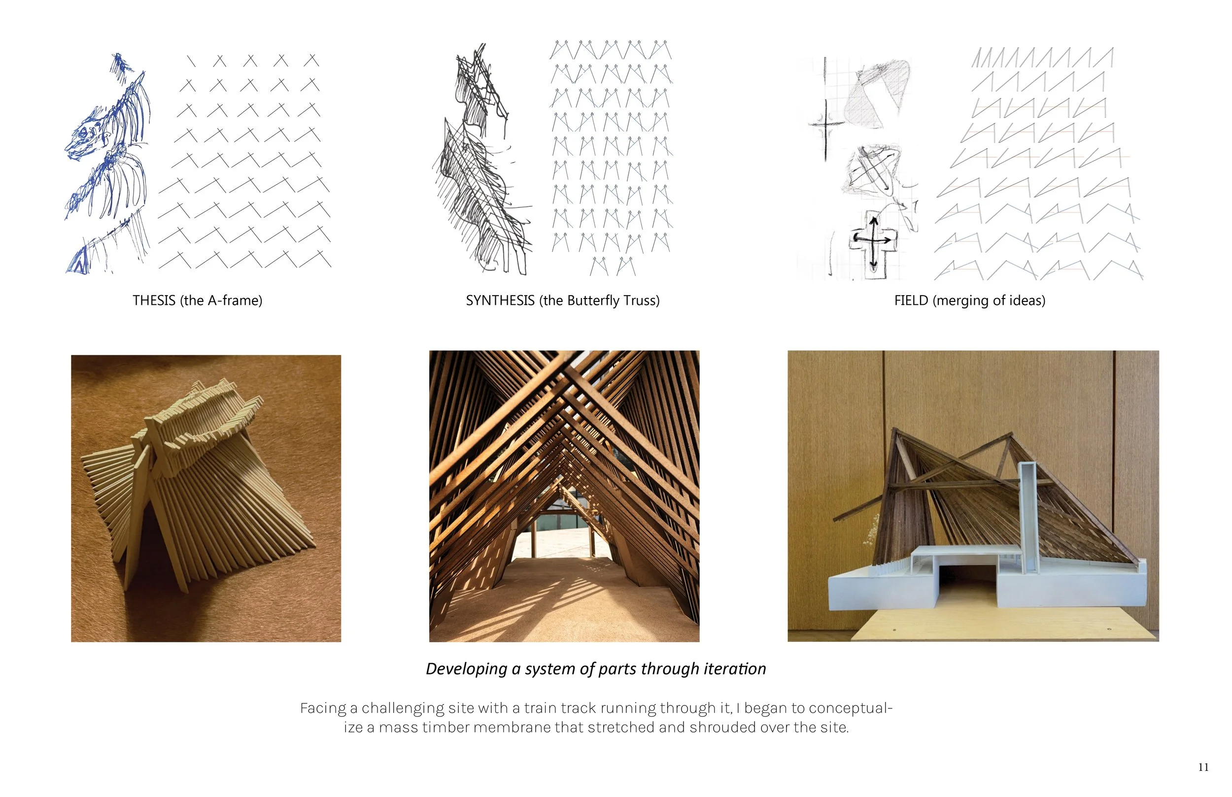 A presentation slide showing conceptual drawings and models of architectural design processes. Top row includes sketches labeled "THESIS (the A-frame)," "SYNTHESIS (the Butterfly Truss)," and "FIELD (merging of ideas)." Bottom row features physical m