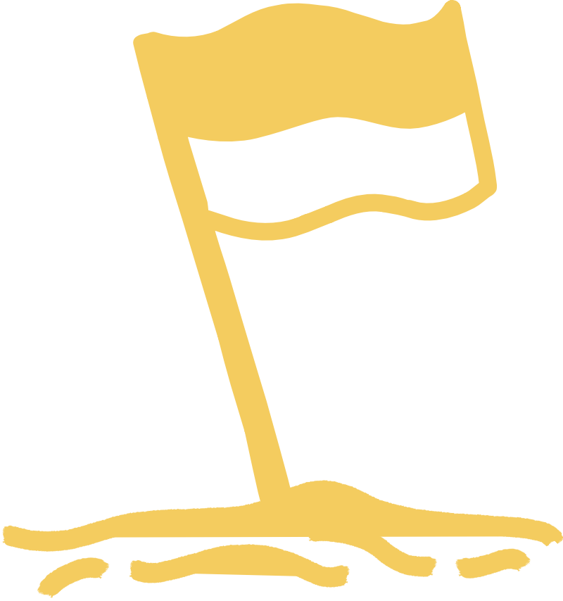 Gold illustration of surf safety flags