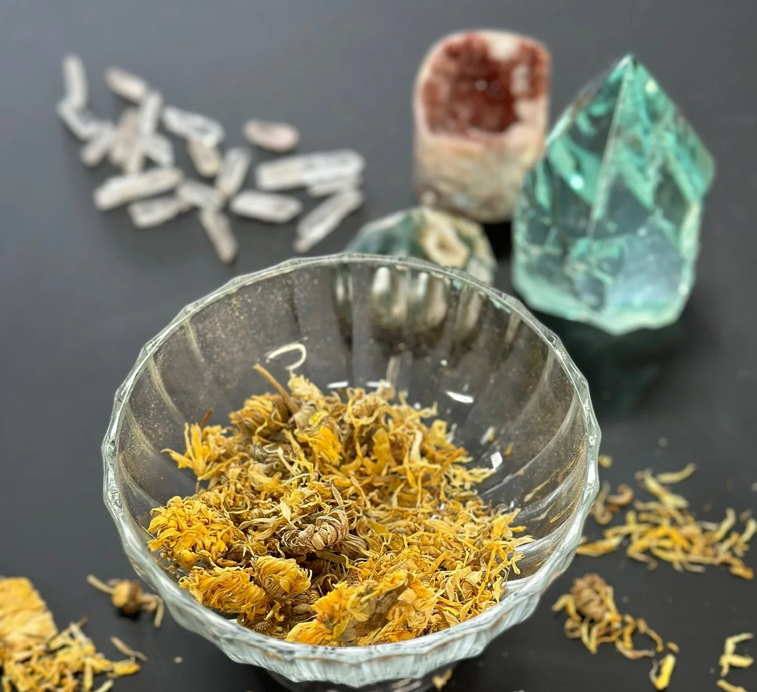 Calendula
