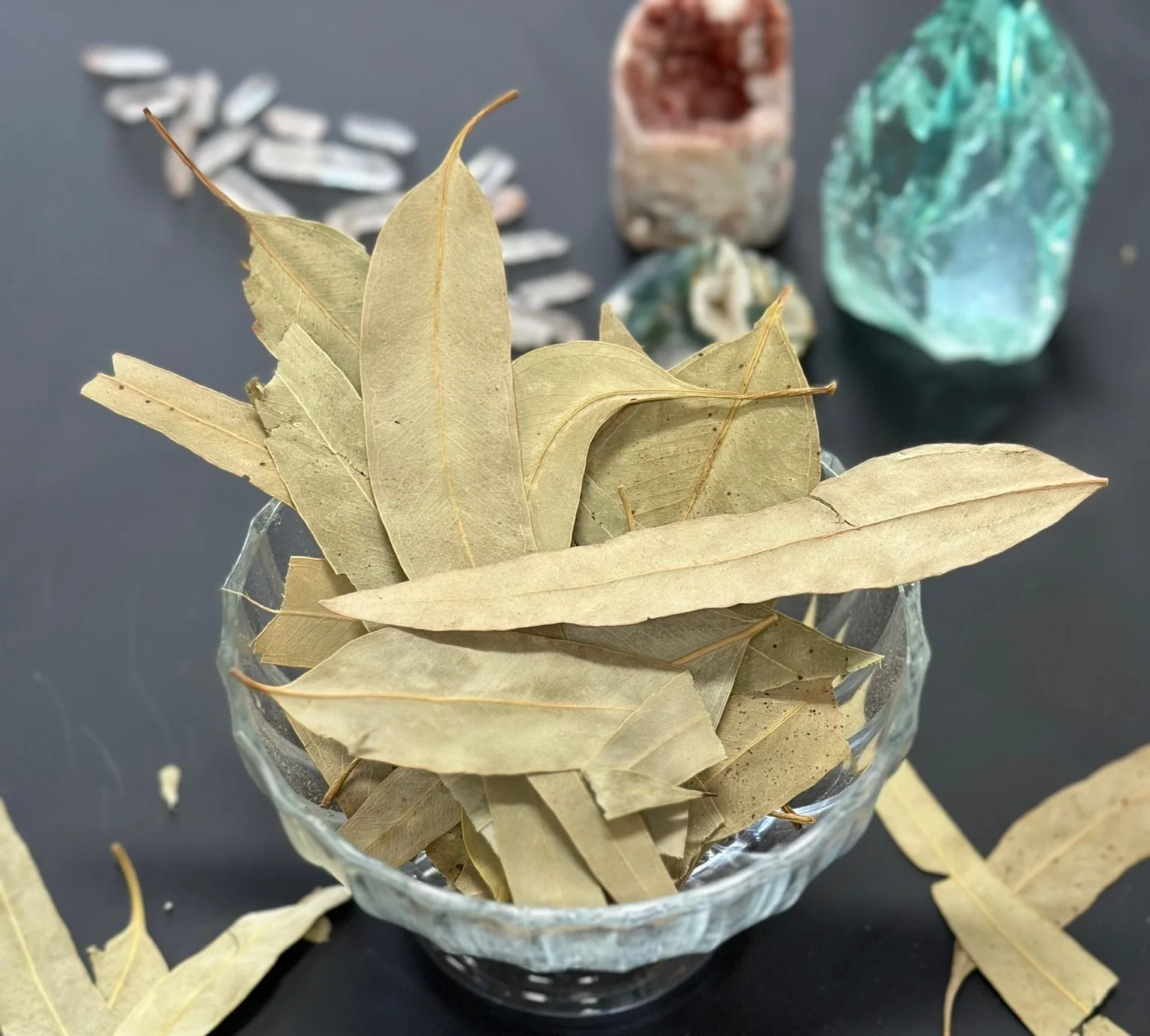 Whole Leaf Eucalyptus
