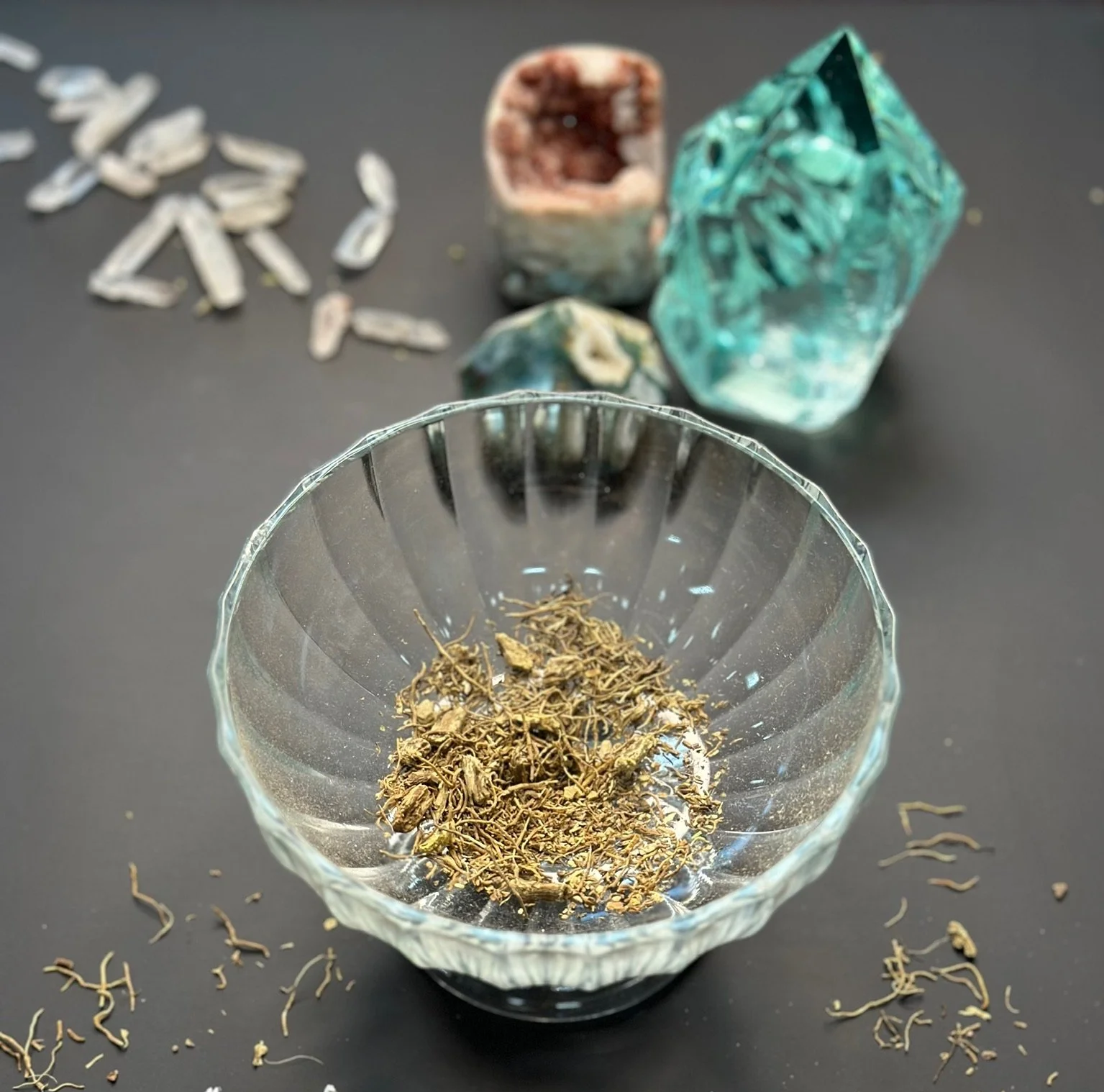 Blue Cohosh