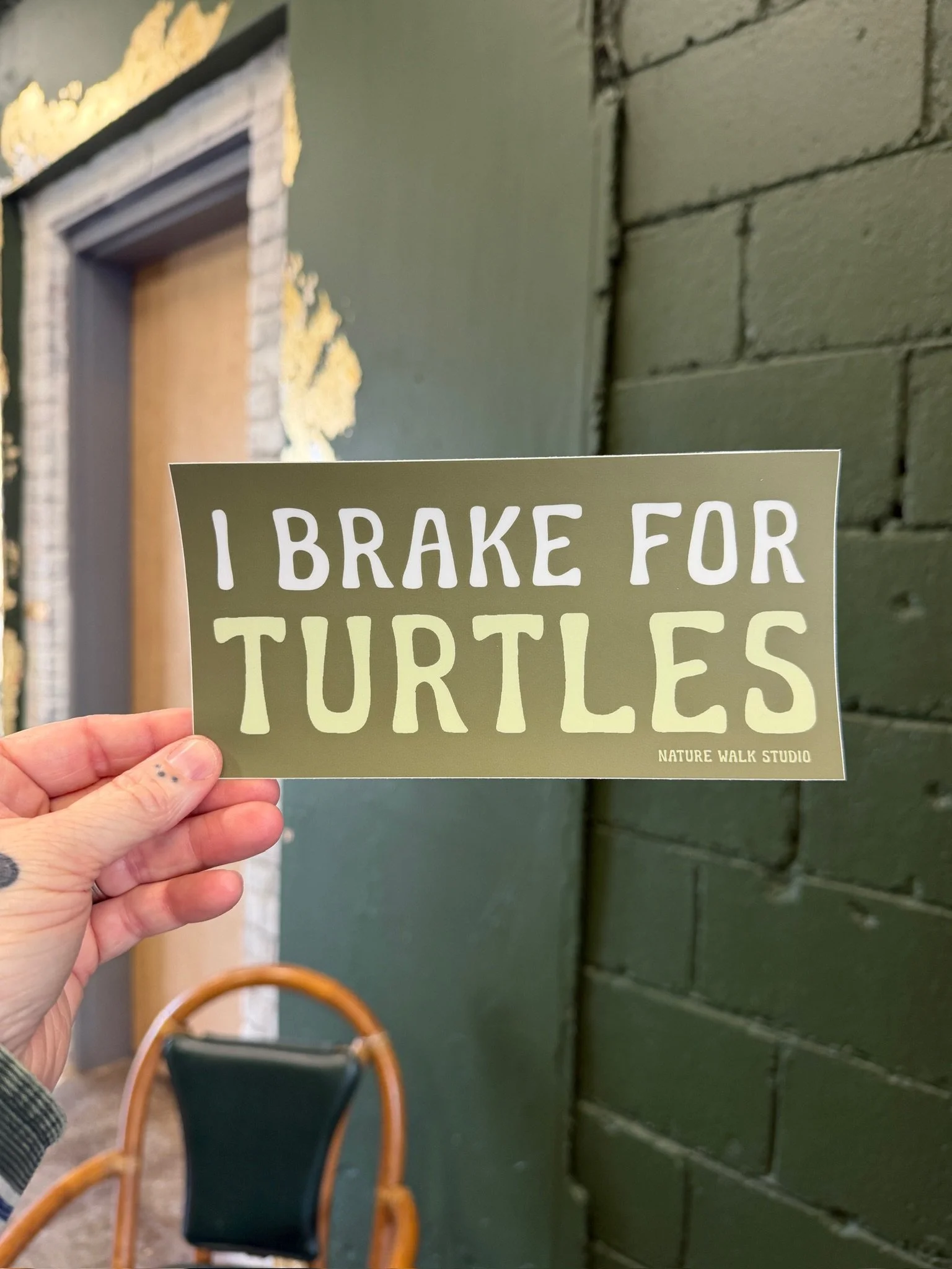 I Brake For Turtles Bumper Sticker