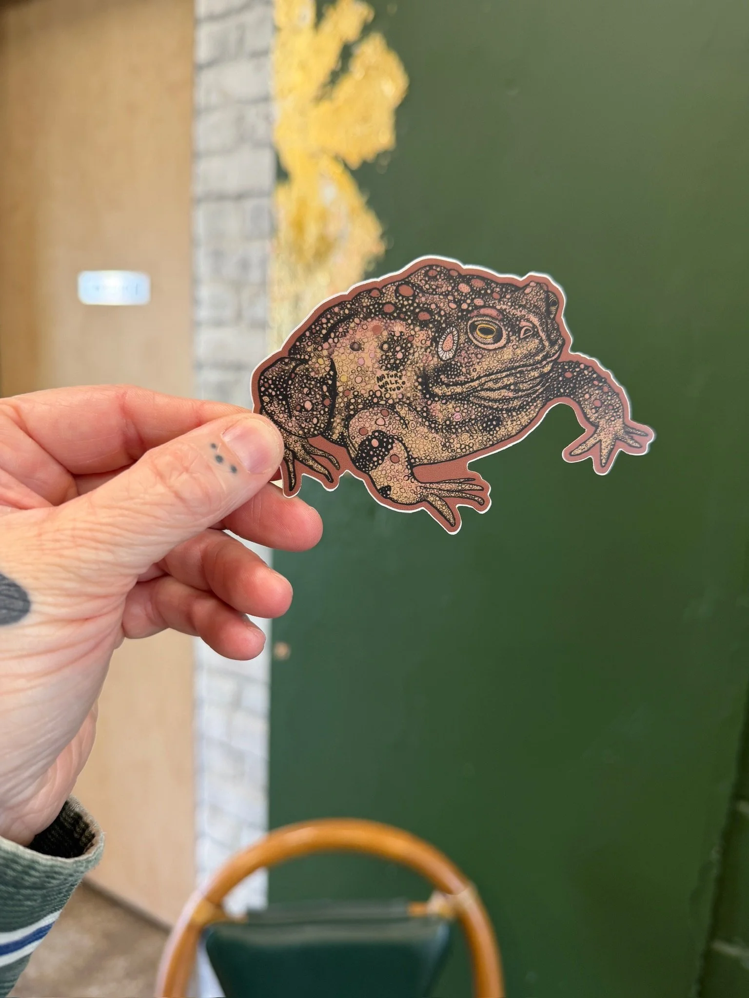 Big Toad Sticker