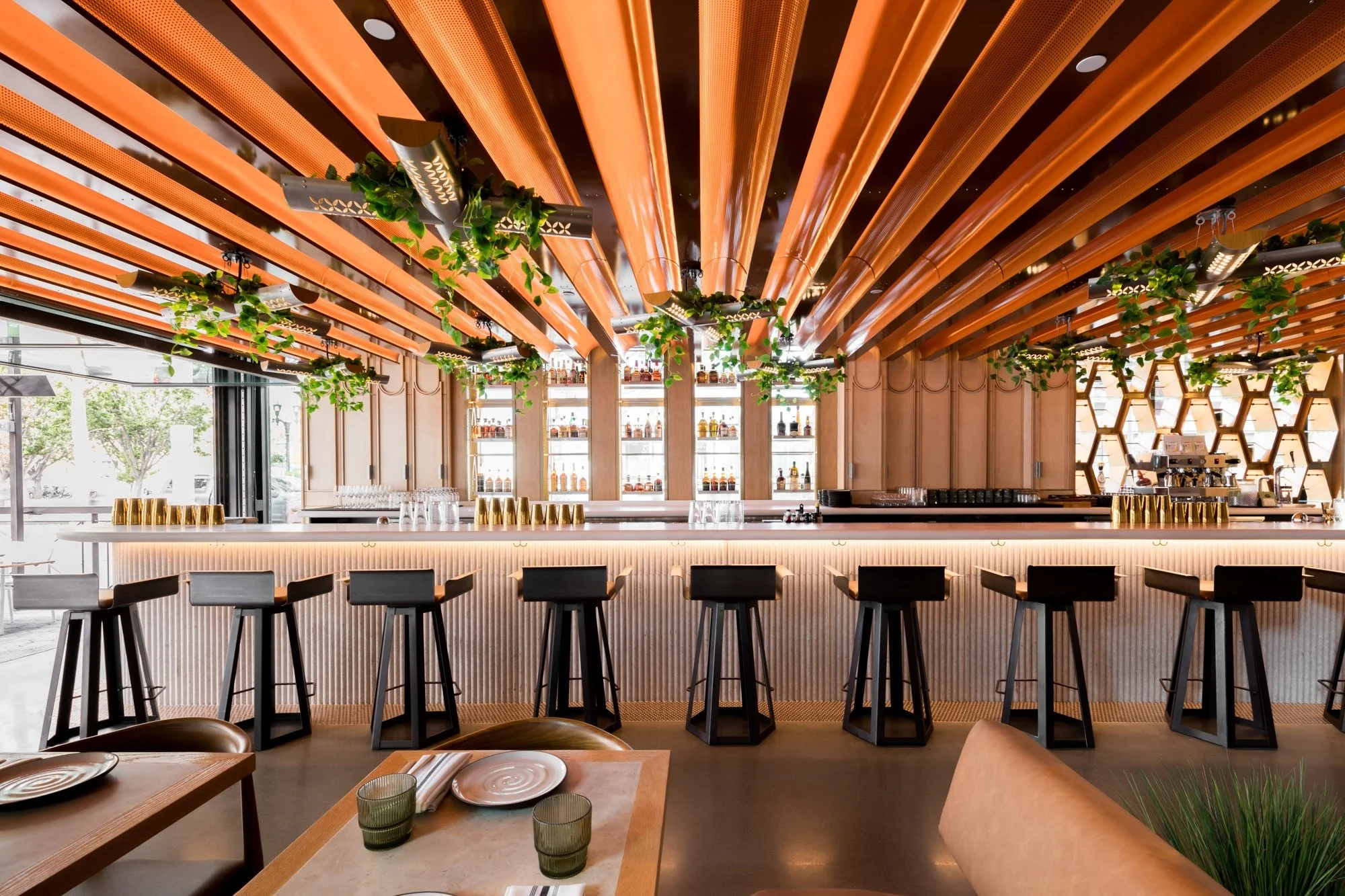Interior of a modern restaurant or bar with wooden ceiling beams, hanging potted plants, and shelves filled with bottles in the background. The bar counter has several empty barstools and a coffee machine on the side.