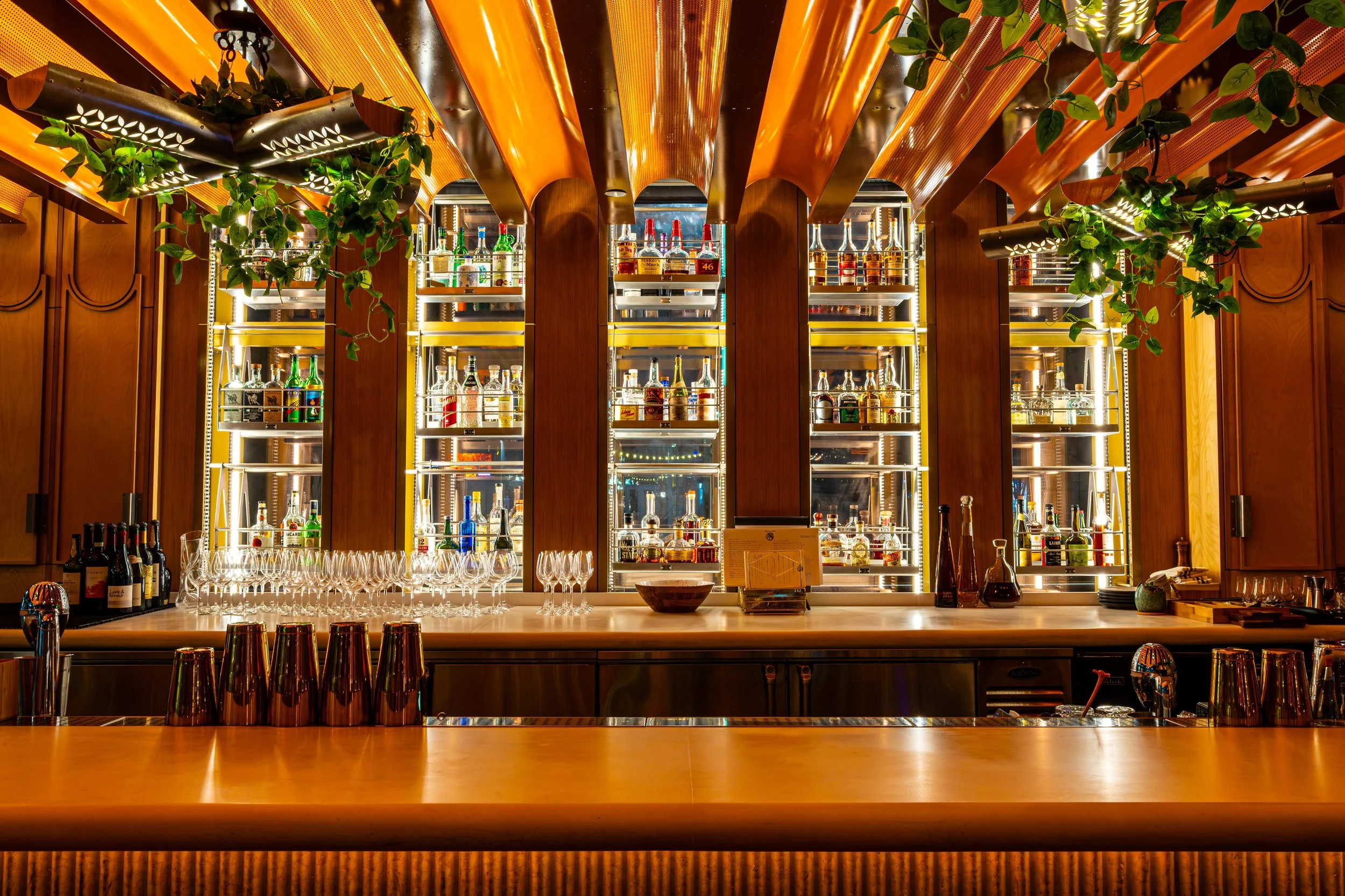 A stylish bar with a wooden counter, illuminated shelves with various bottles of alcohol, and green plants hanging from the ceiling.