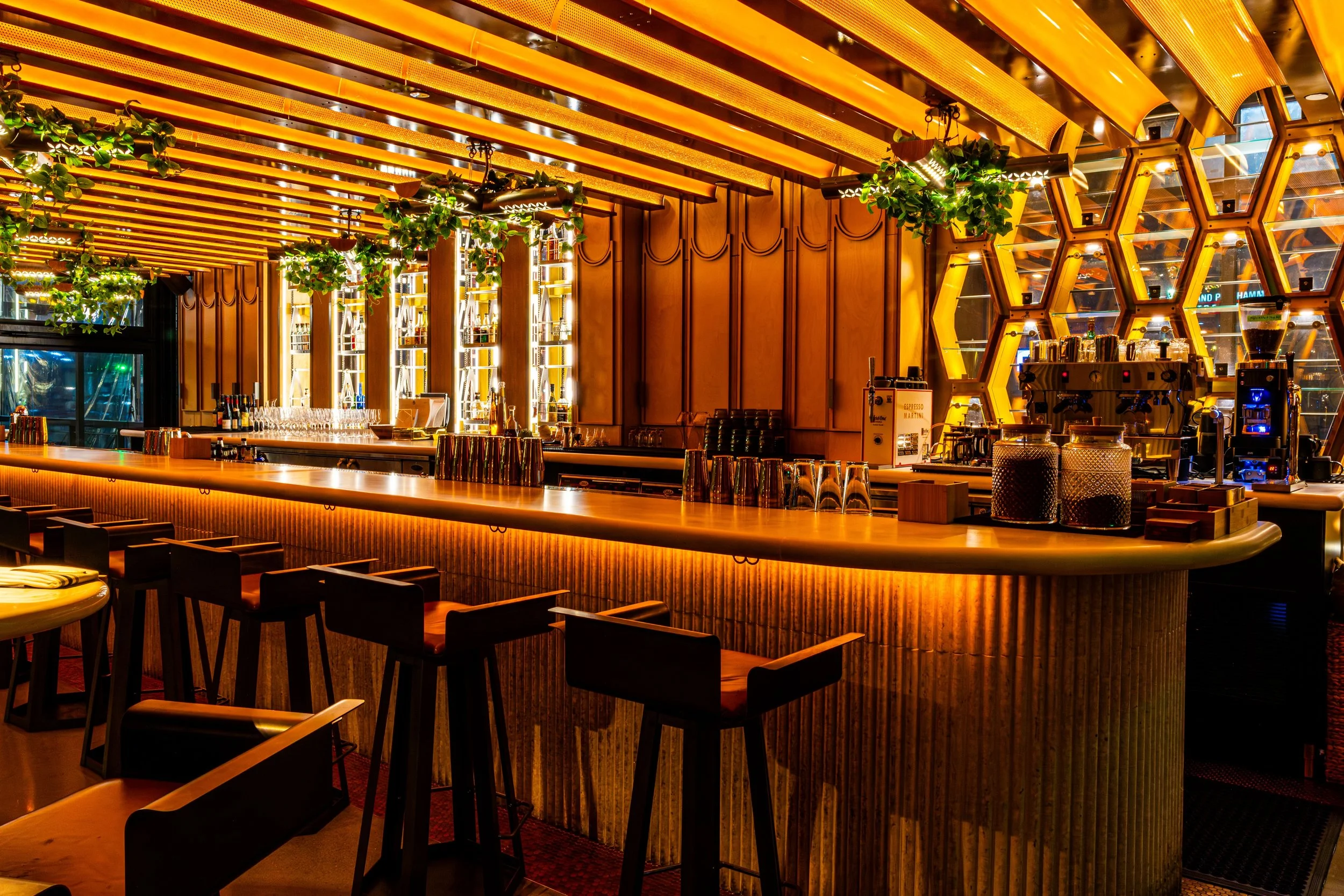 Inside of a modern bar with warm yellow lighting, wooden decor, green plants hanging from the ceiling, and a coffee machine on the counter.