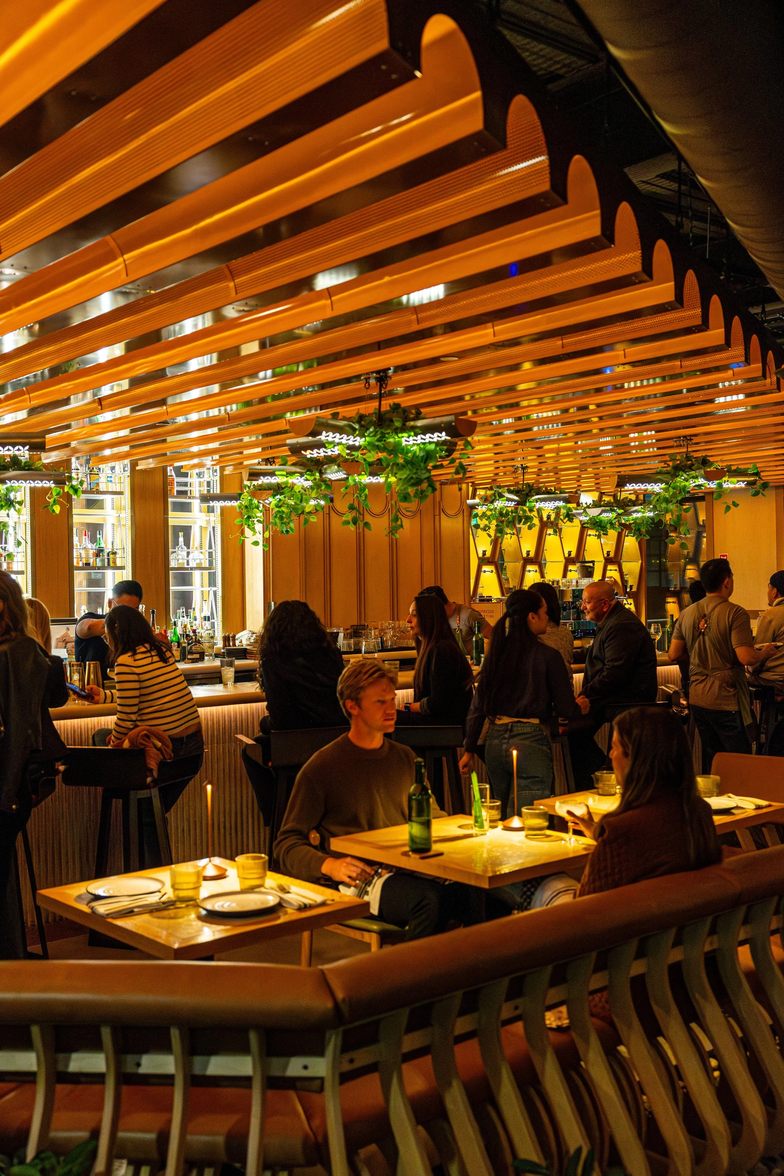 The photo shows the interior of a busy restaurant with customers sitting at tables, a bar area, and decorative lighting and hanging plants on the ceiling.
