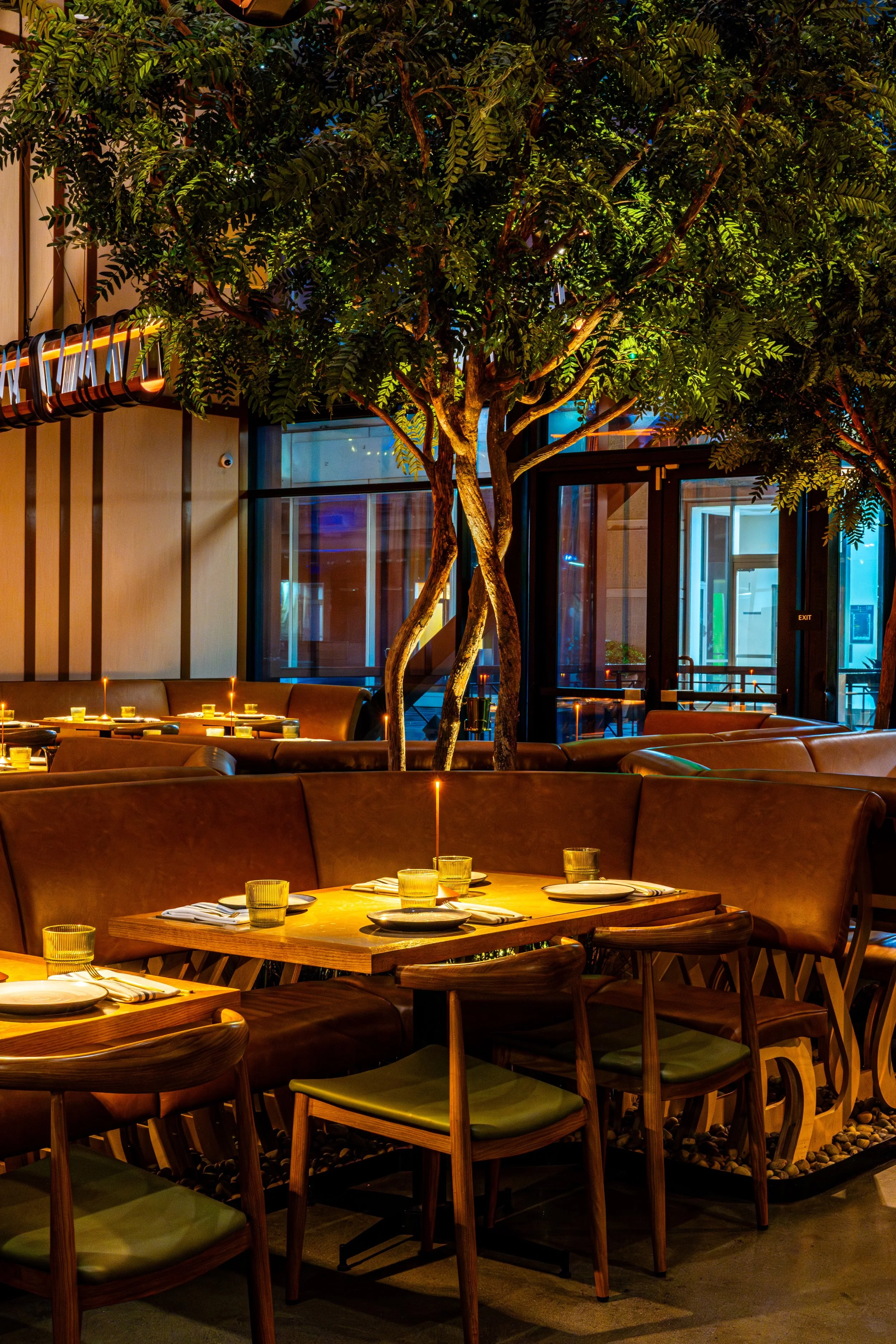 Interior of a restaurant with a large indoor tree surrounded by dining tables set with plates, glasses, and napkins, and illuminated by warm lighting.