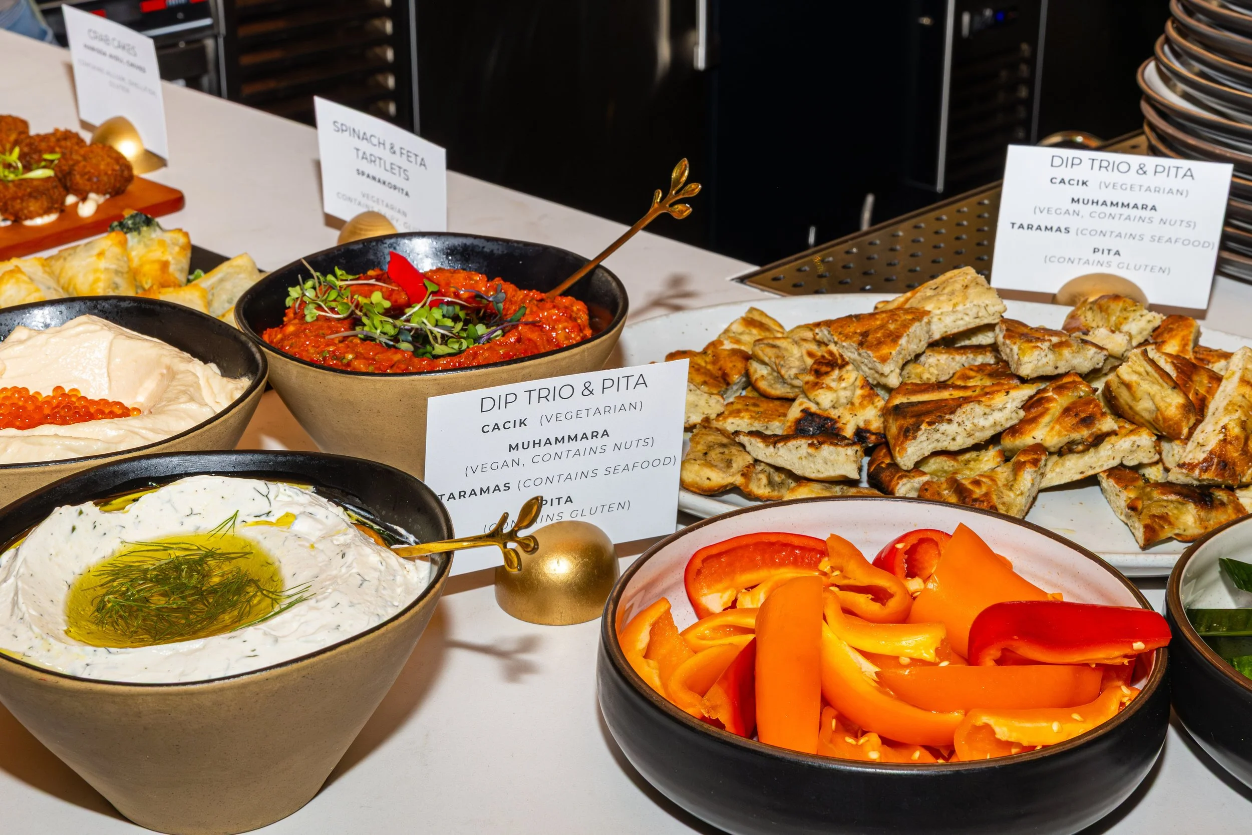 A variety of Mediterranean dishes including bowls of hummus with herbs, sliced roasted peppers, a bowl of tomato-based dip with microgreens and a fork, grilled chicken pieces, and bowls of vegetables and other appetizers on a white table.