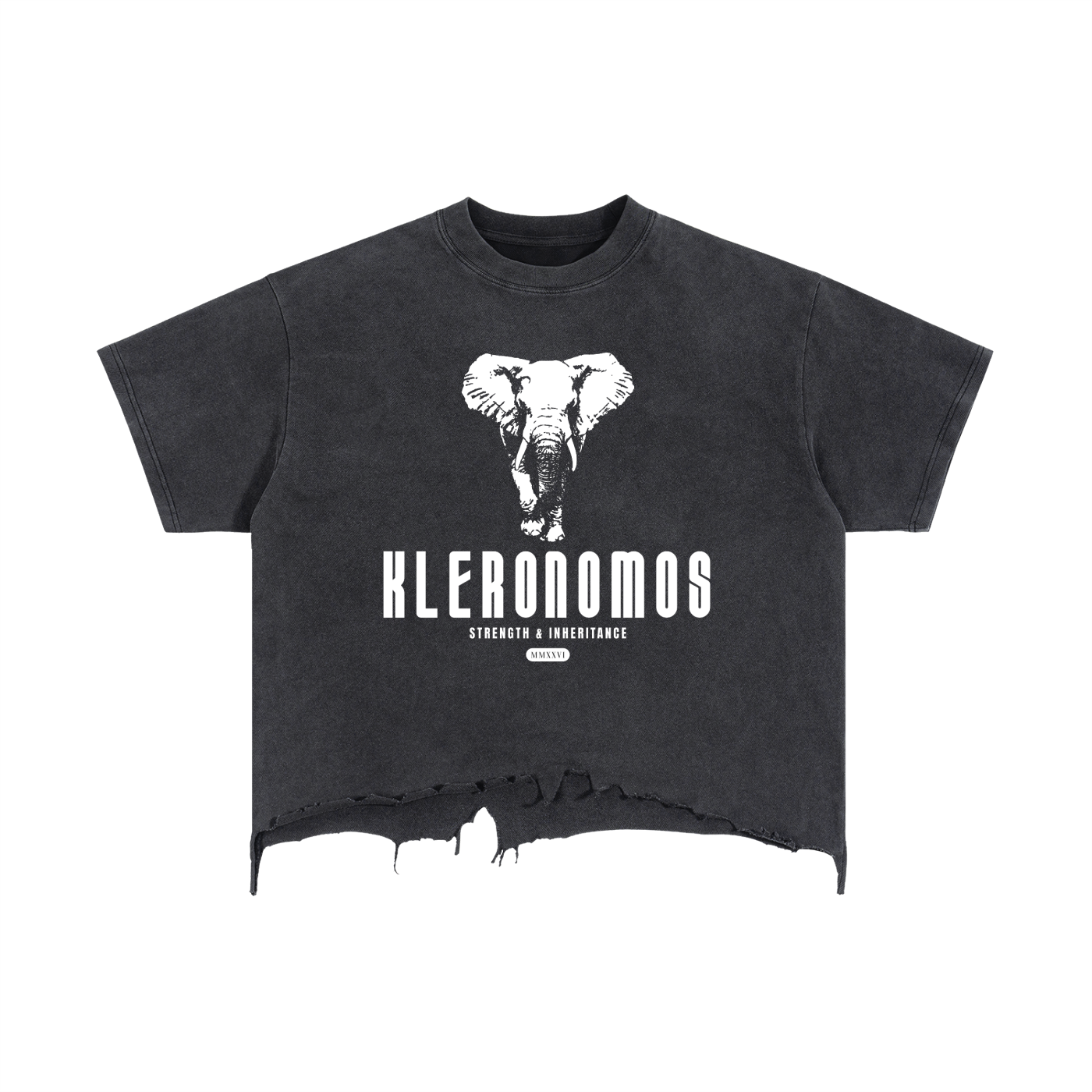Strength and Inheritance Dark Vintage Wash Boxy Distressed Hem T-Shirt