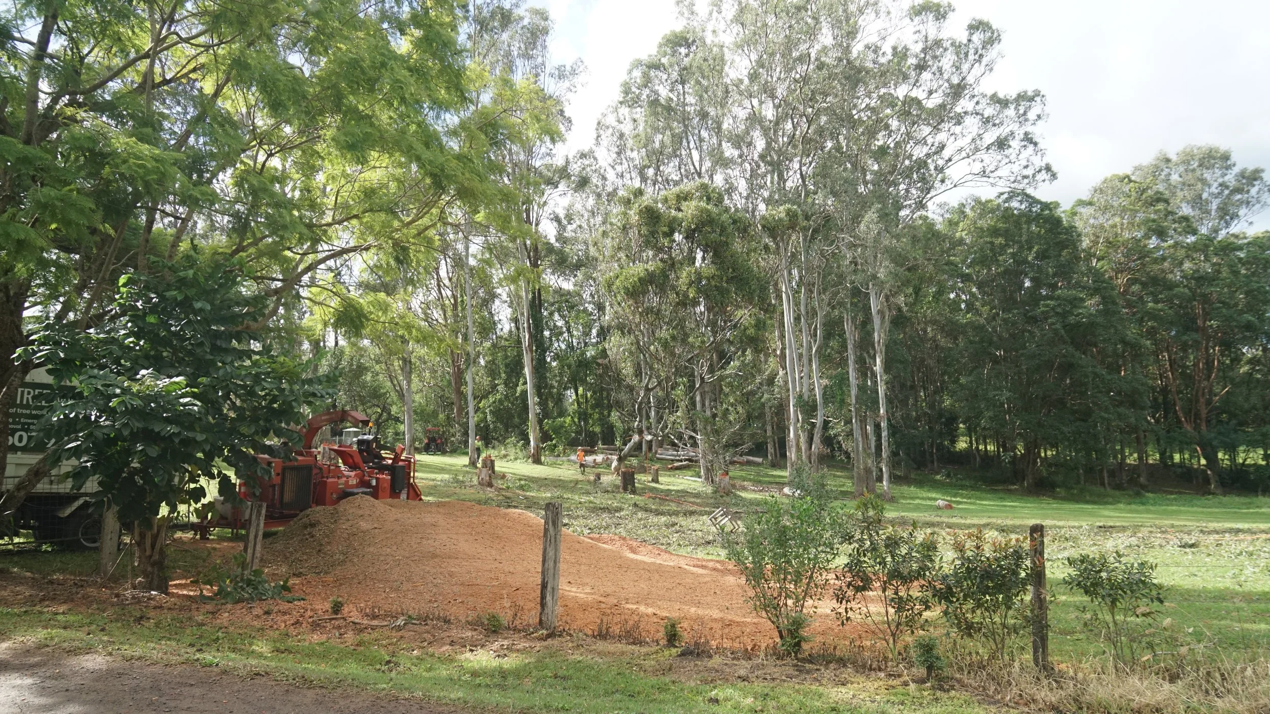 Mulch pile from branches and debris we chipped