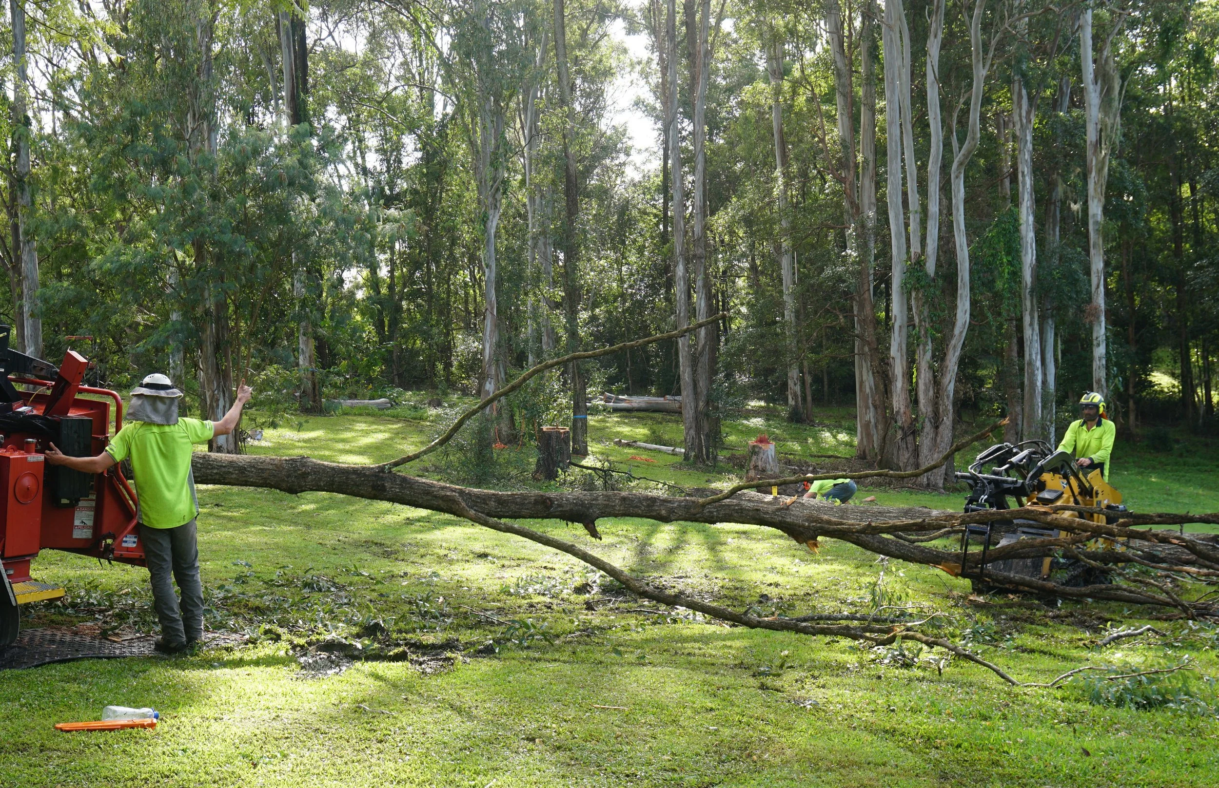 Feeding branches through the chipper with the loader