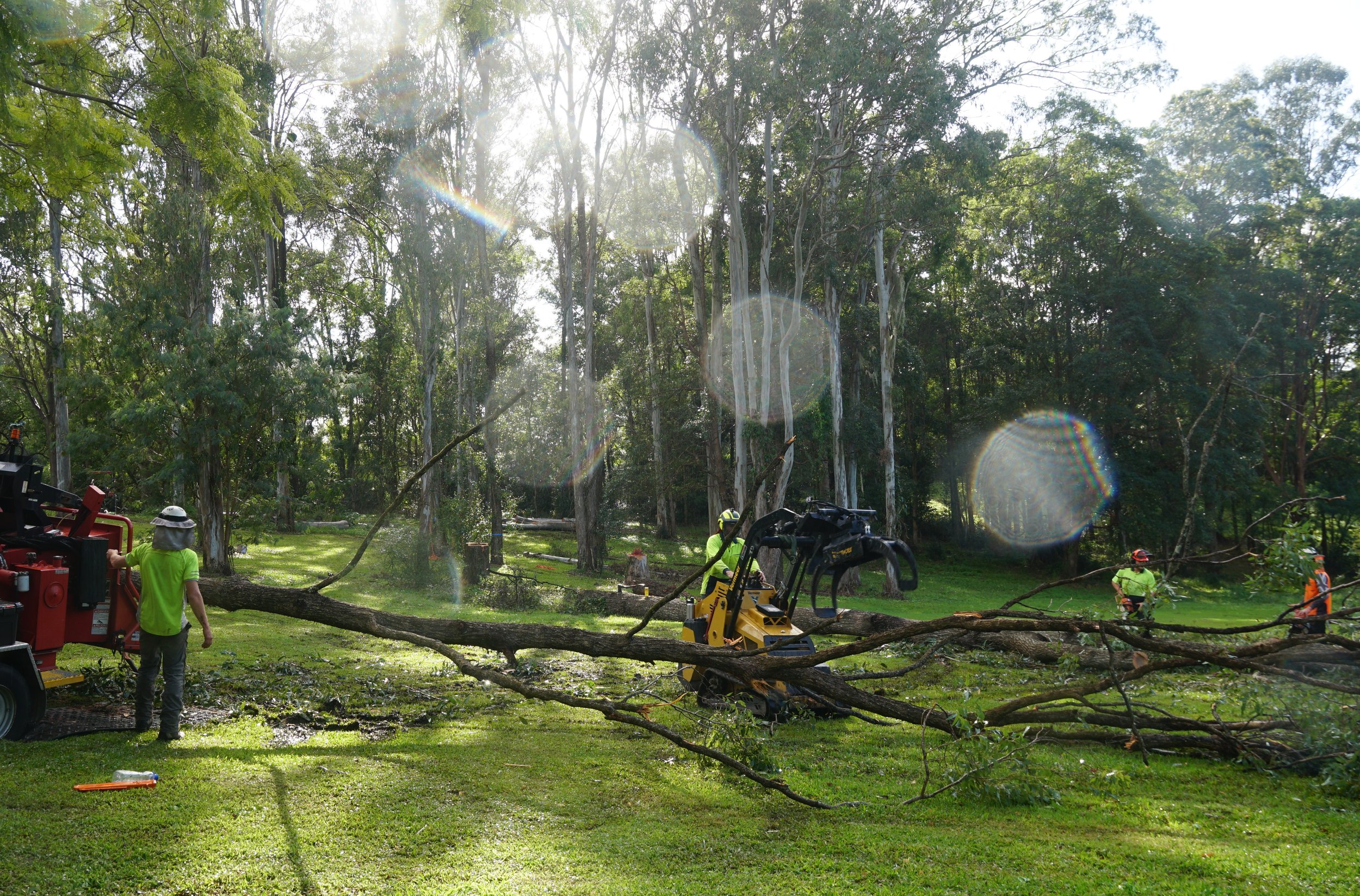 Feeding branches through our chipper using a loader