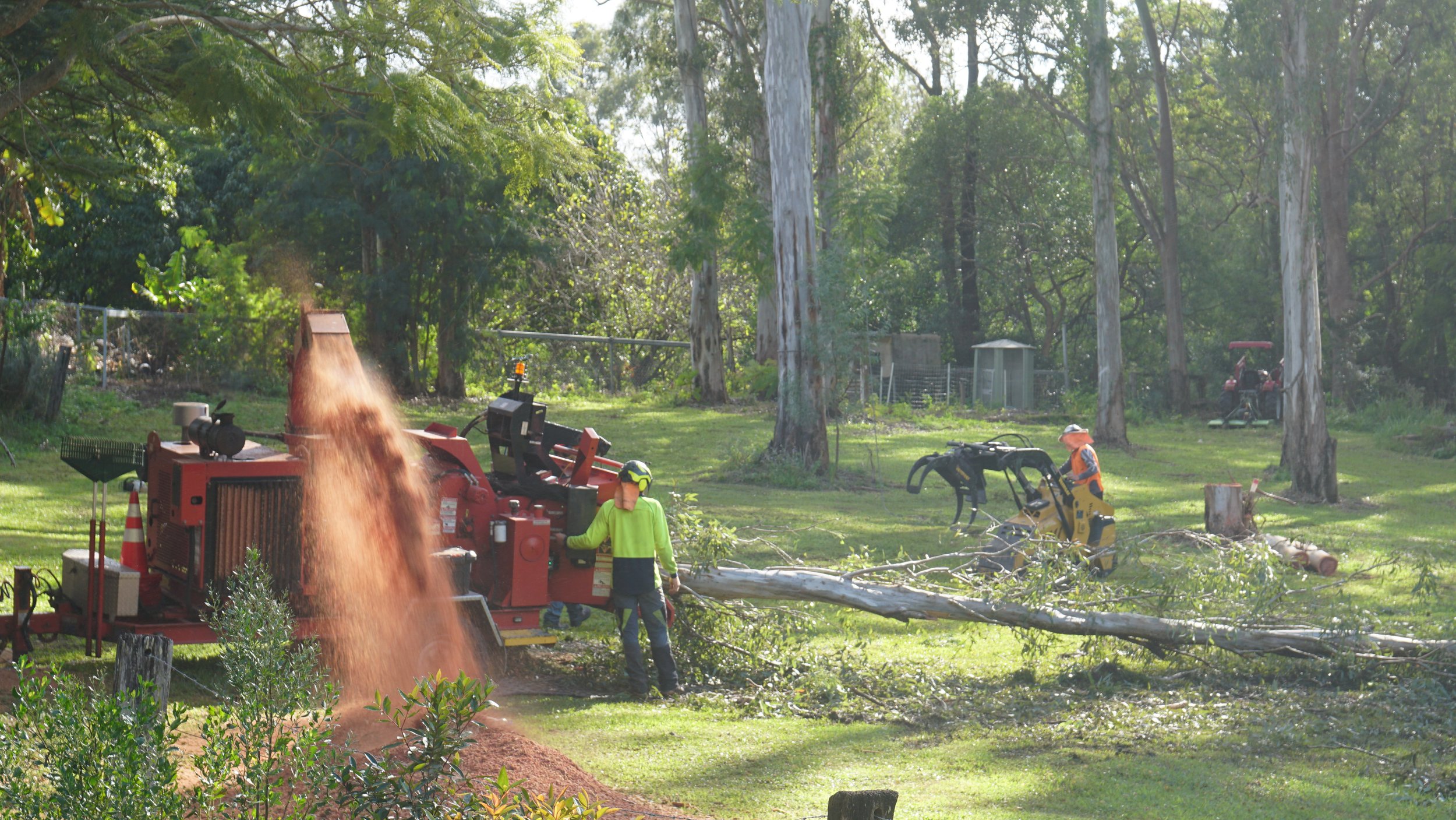 Creating mulch with branches as they go through our chipper