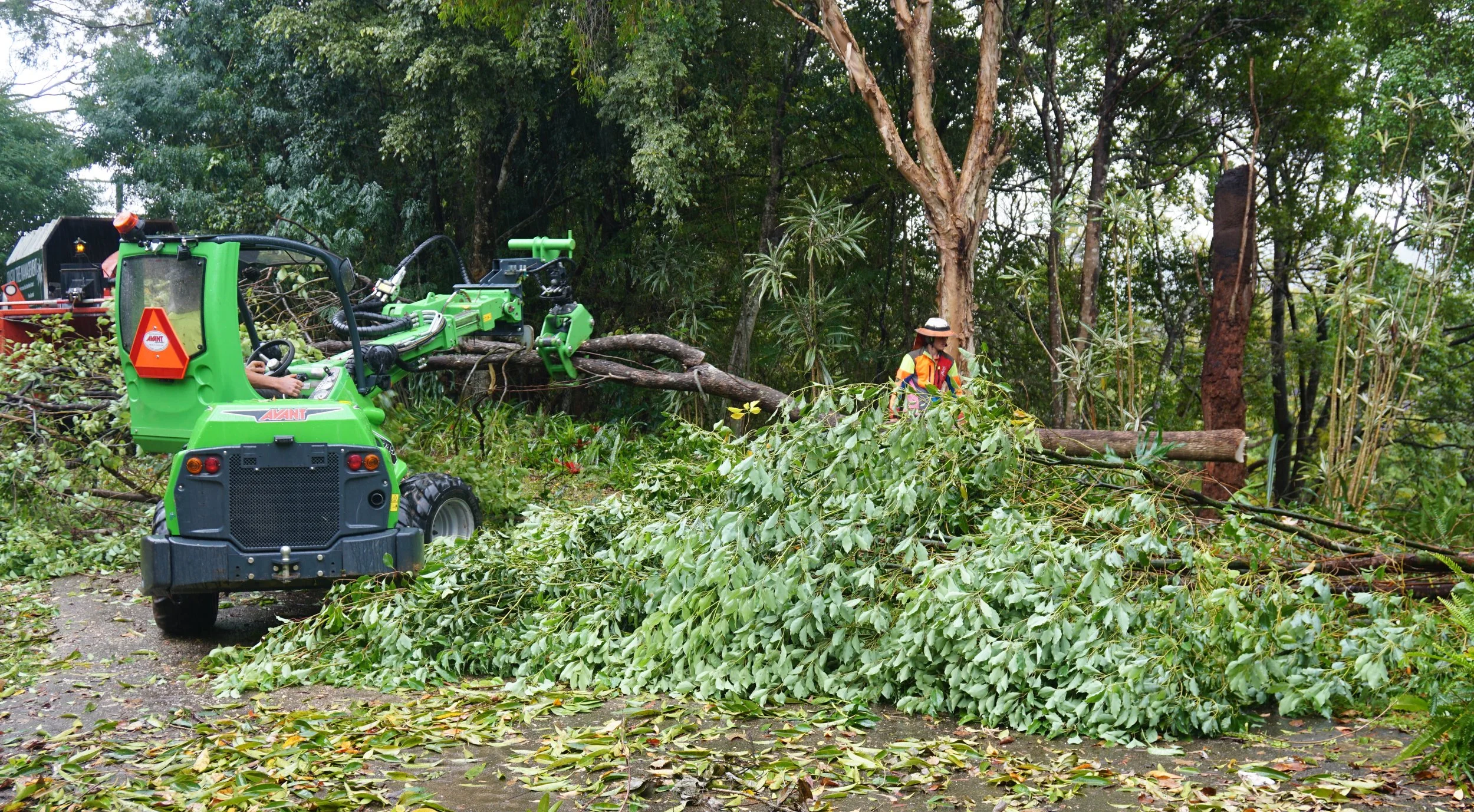 Site cleanup with the Avant
