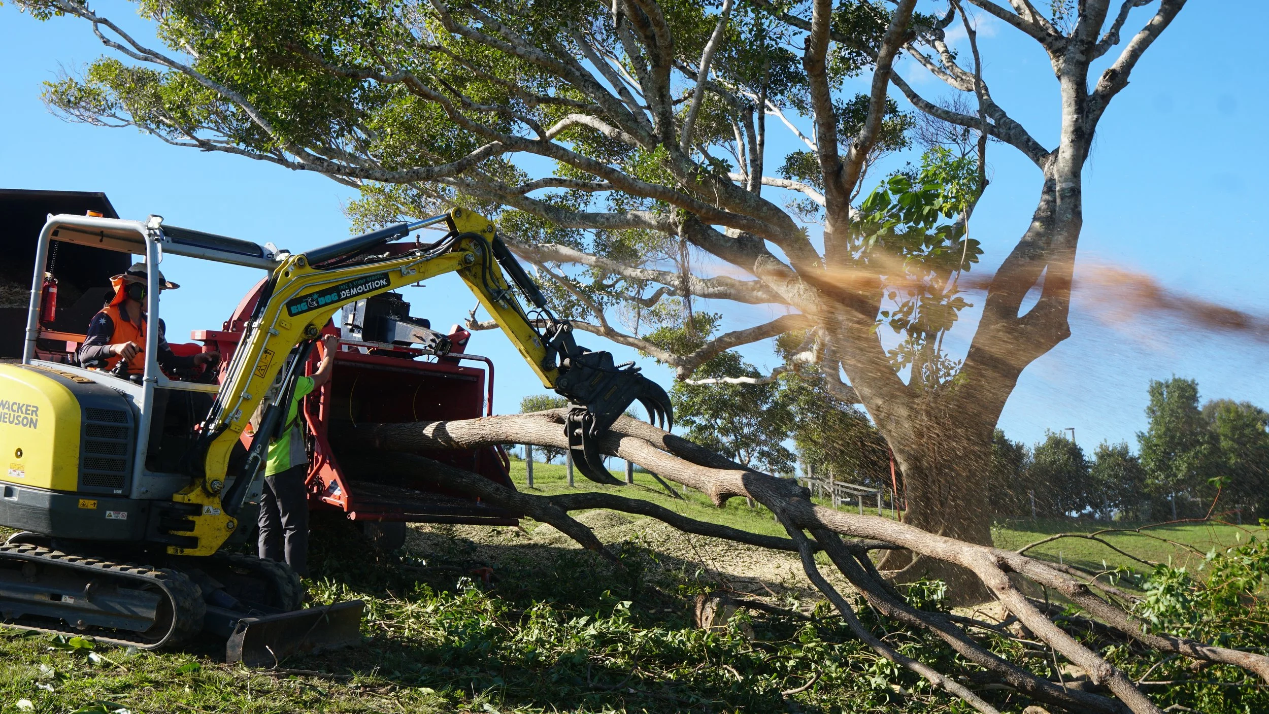 Feeding branches through chipper with the digger