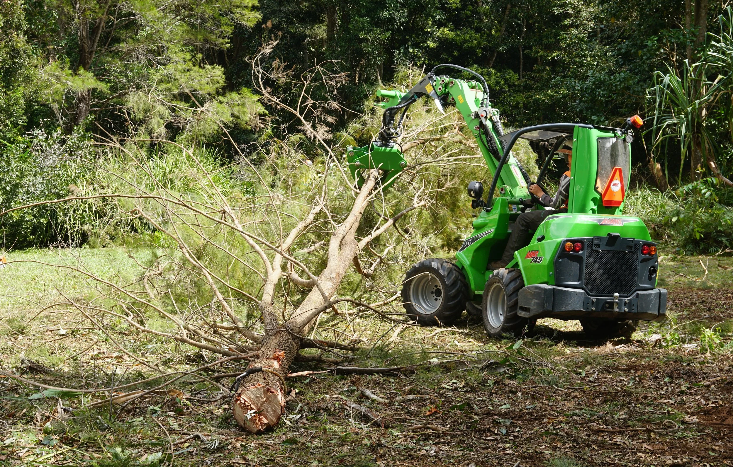 moving a large tree in one piece using the Avant