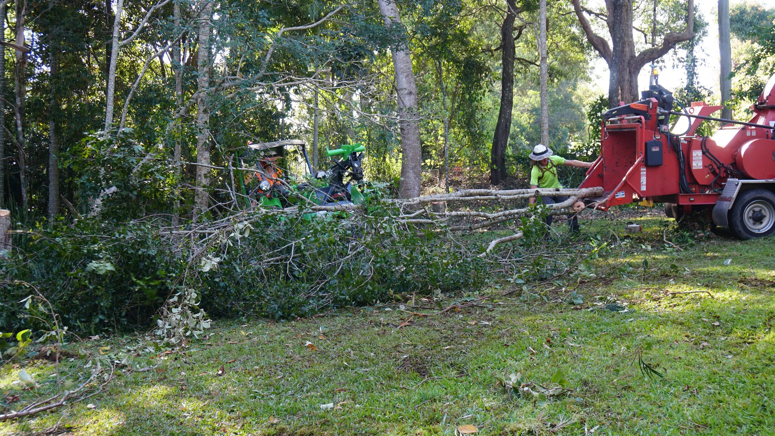 feeding branches into chipper