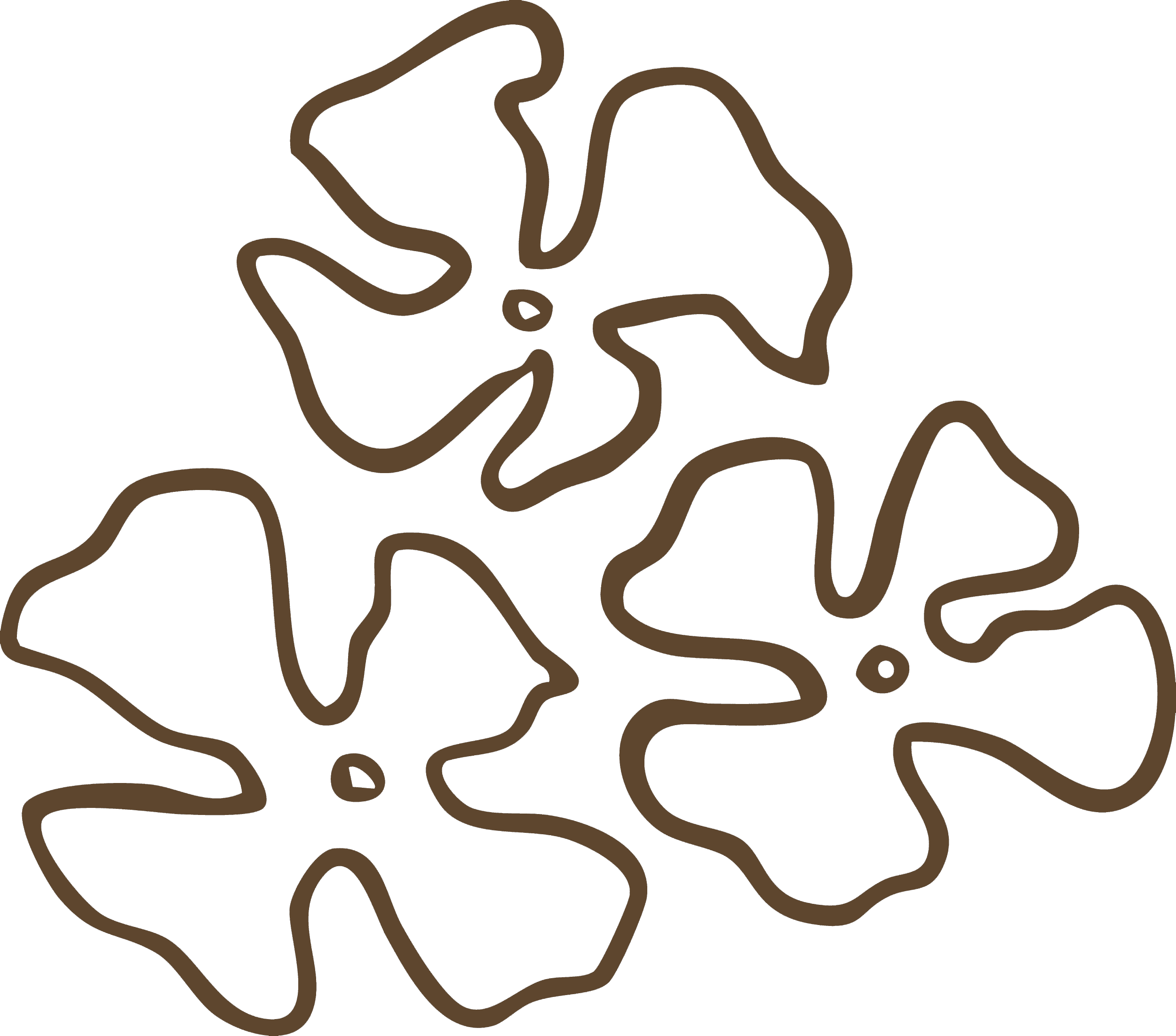 A digital map with brown contour lines on a black background.