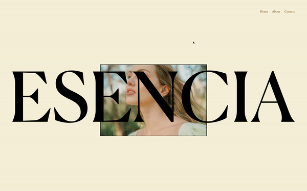 Standout Squarespace Snimate on Scroll