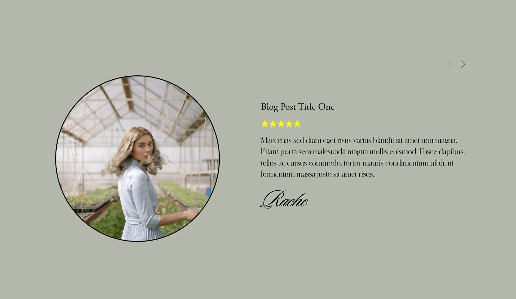 Standout Squarespace Testimonial Carousels