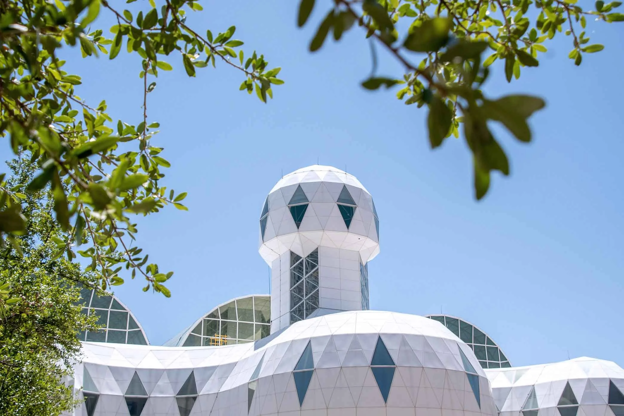 Photo of a white geometric building with a tower, seen through green tree branches against a clear blue sky.