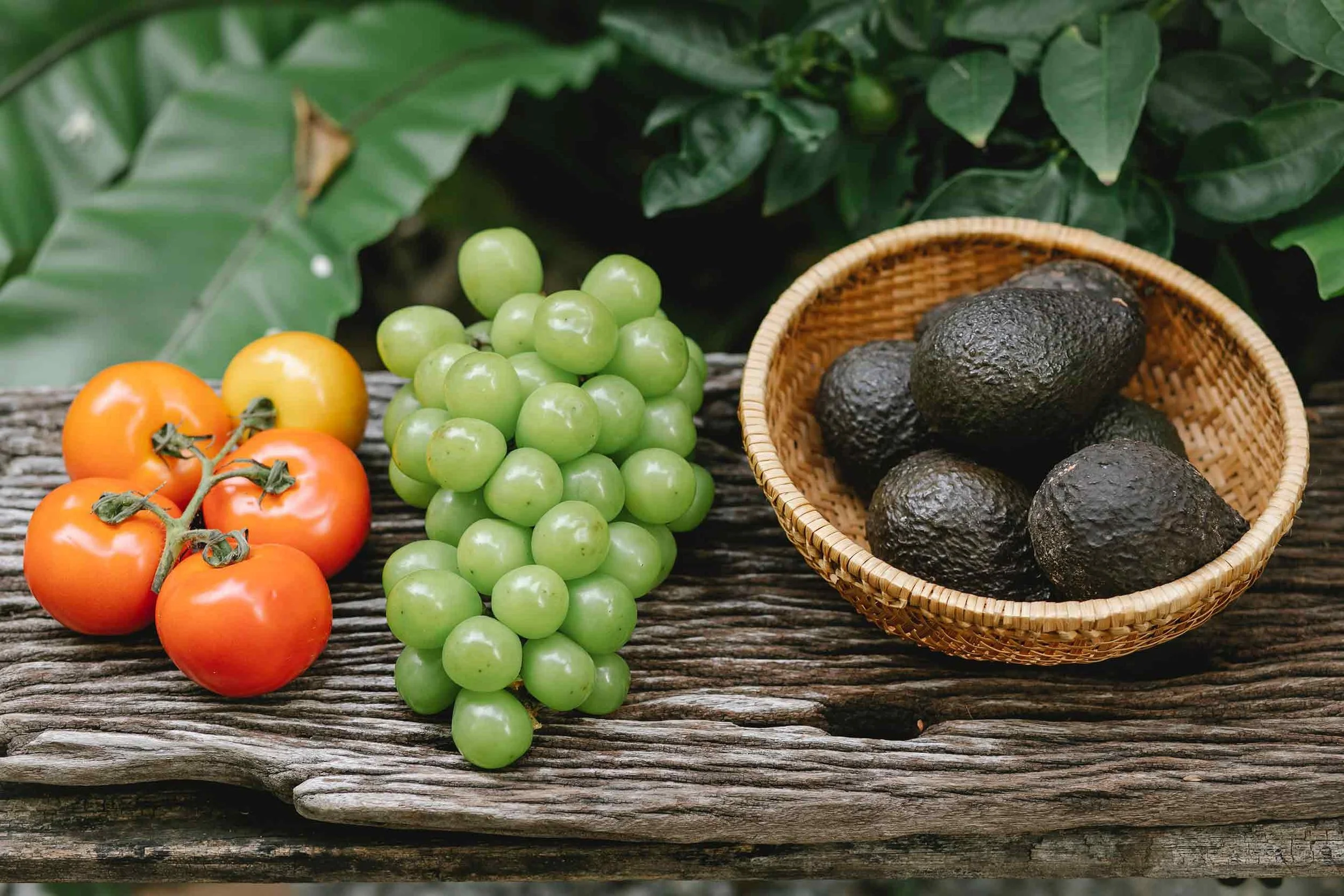 Fresh tomatoes, green grapes, and avocados arranged on a rustic wooden surface with green leafy background.