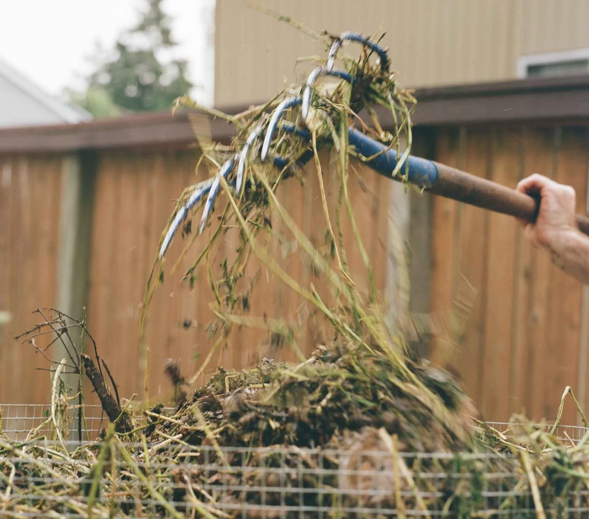 A person using a blue trash picker to remove weeds from a garden bed with a wire fence and wooden fence in the background.