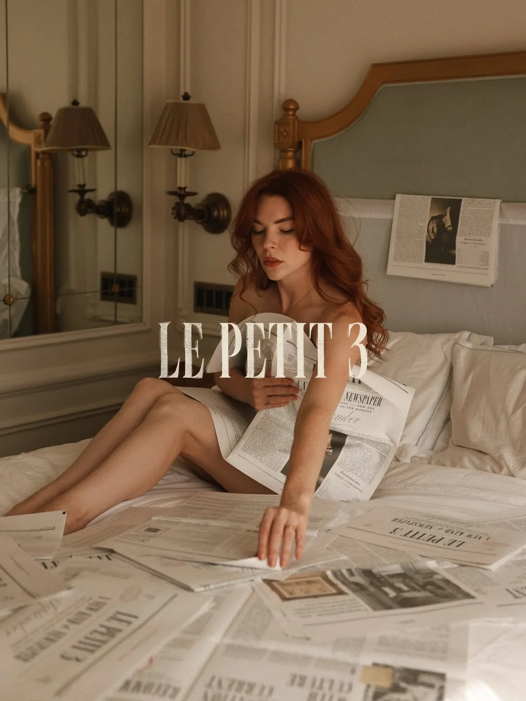<em>Le Petit 3</em> View Case Study ↗