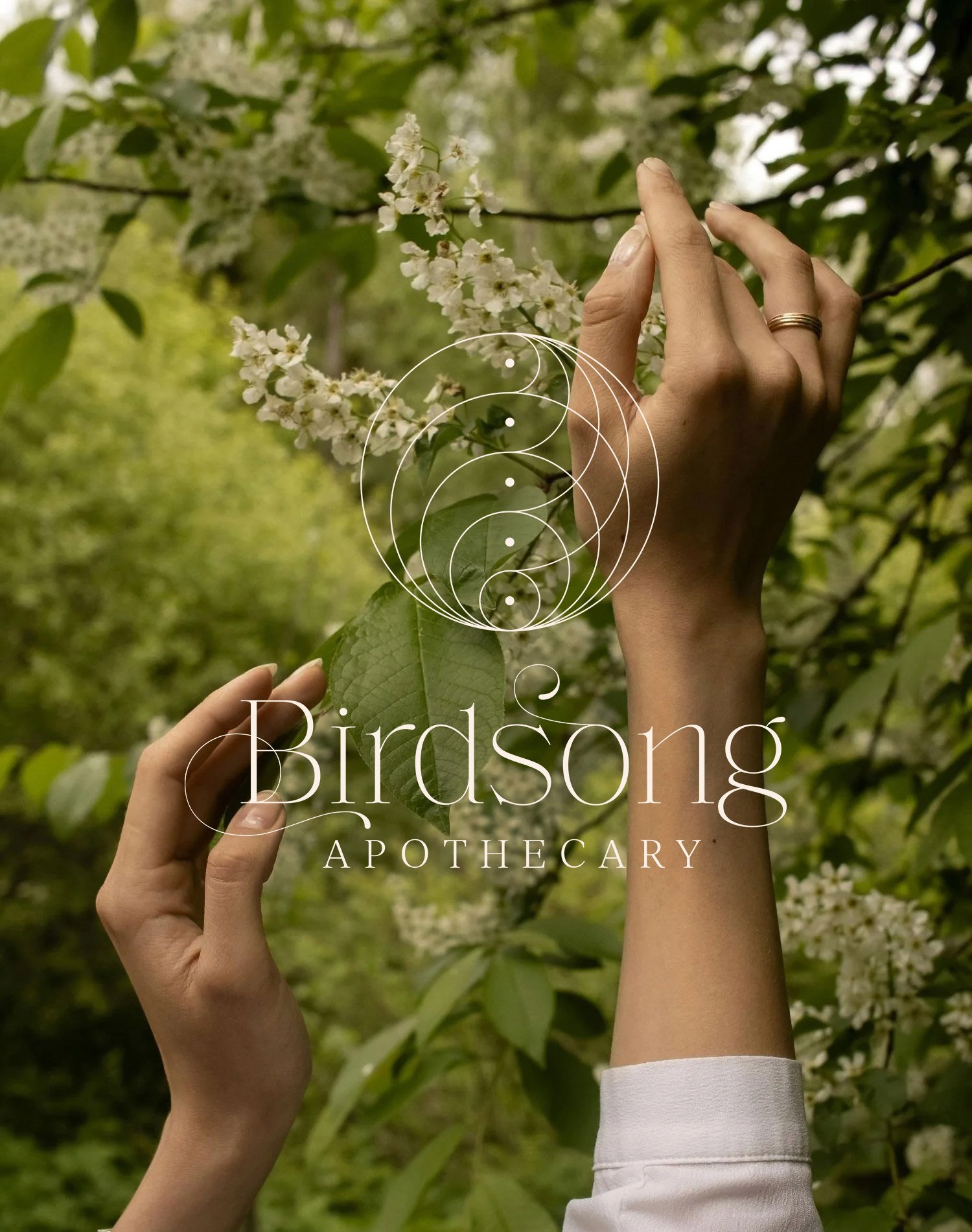 Birdsong Apothecary (branddesign) (websitedesign)
