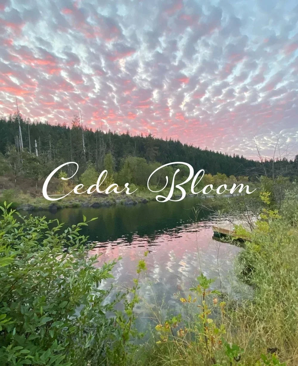 <em>Cedar Bloom Farm</em> View Case Study ↗
