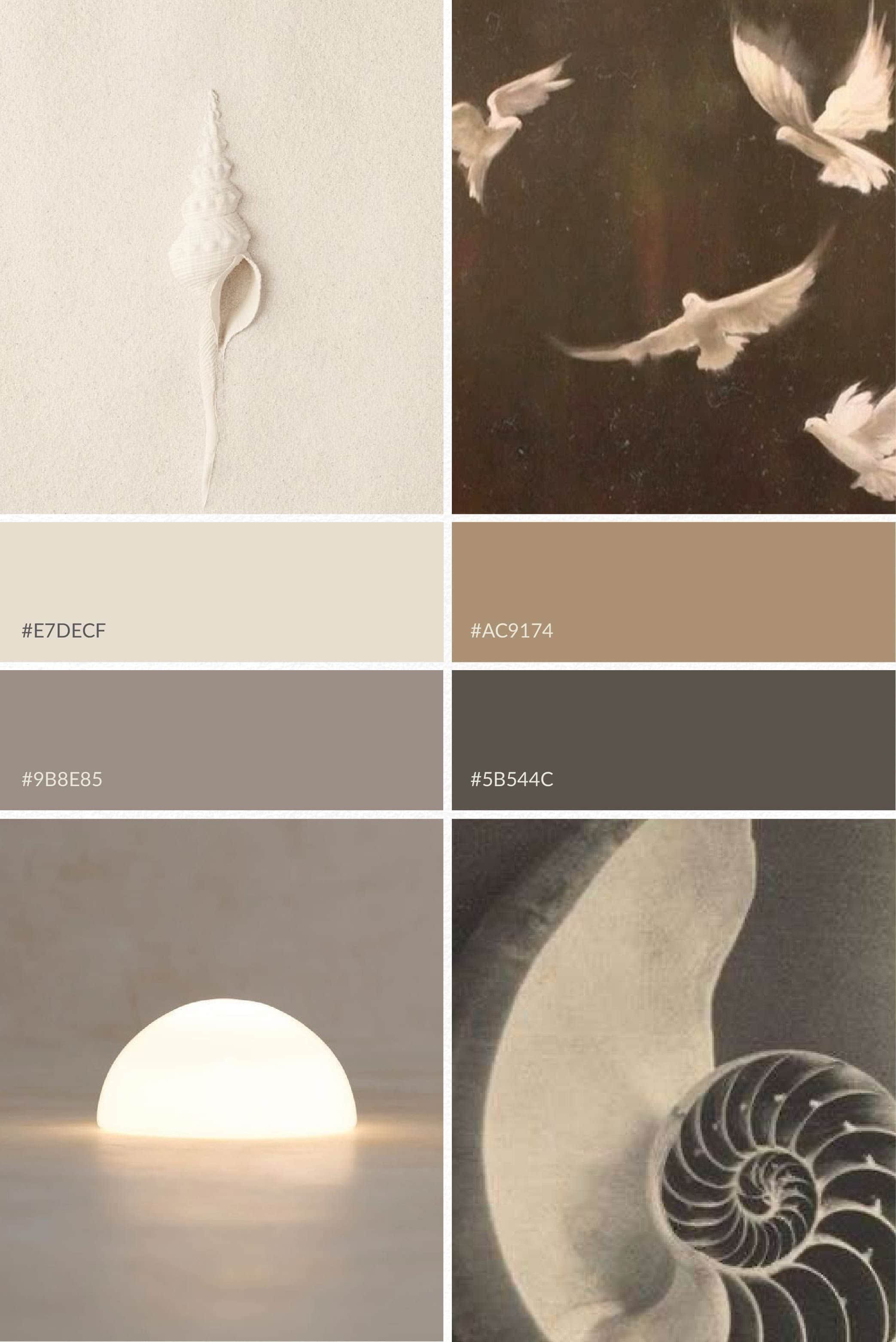 Left side features a white, spiral seashell attached to a white surface. Right side shows several white doves flying against a dark background.