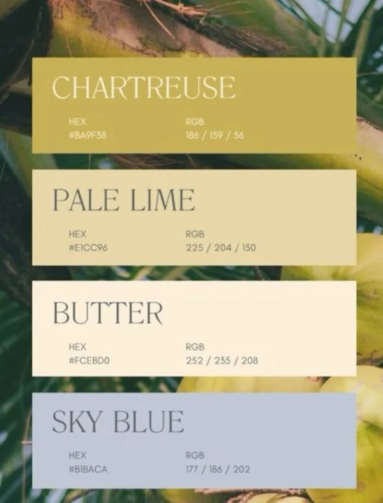 Swatches of paint colors with labels: Chartreuse, Pale Lime, Butter, Sky Blue, along with their HEX and RGB codes.