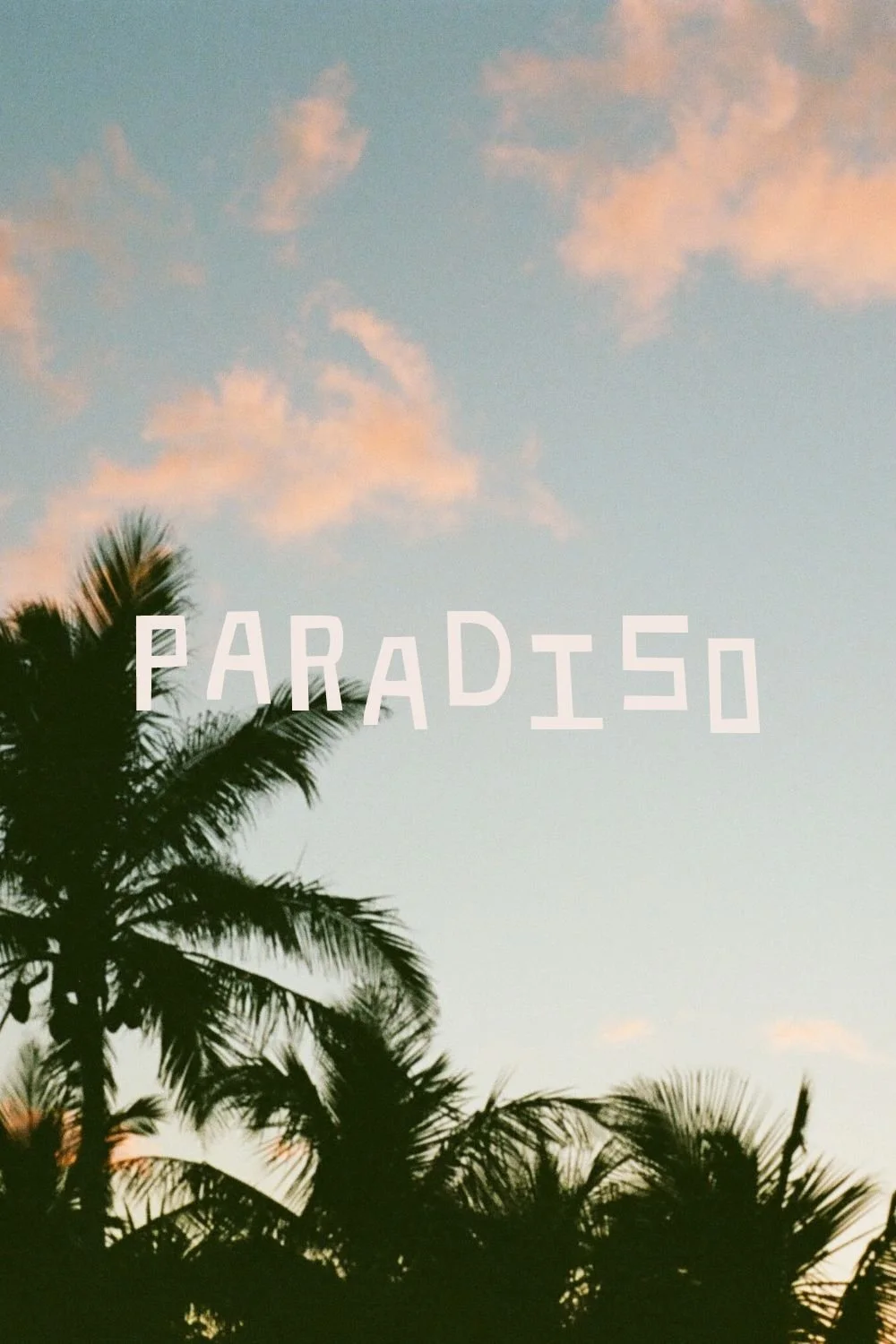 Palm trees against a sky with pink and blue clouds, with the word 'PARADISE' written across the center.