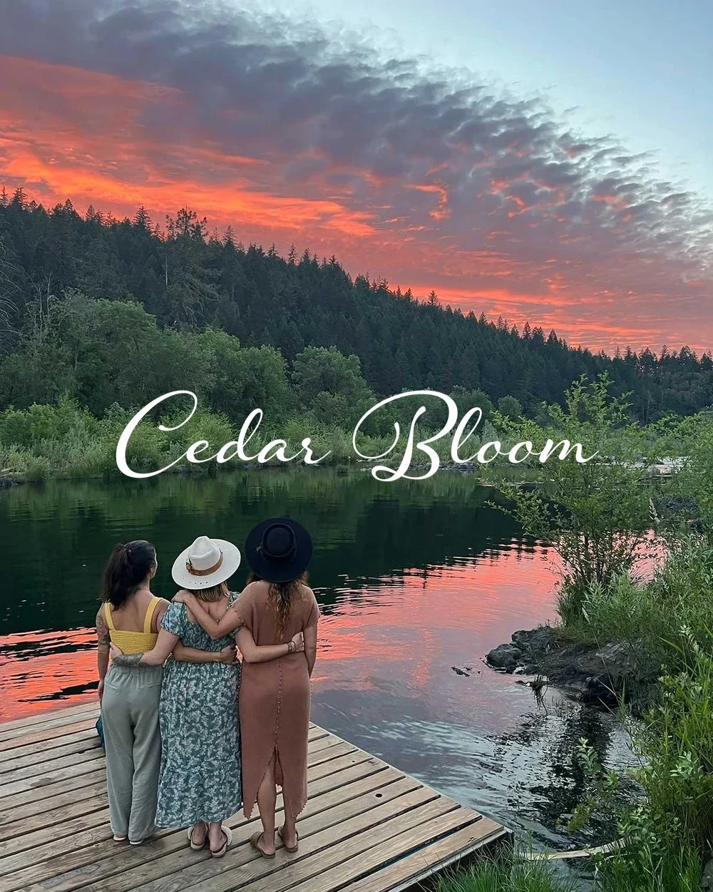 Cedar Bloom Farm (branddesign) (websitedesign)