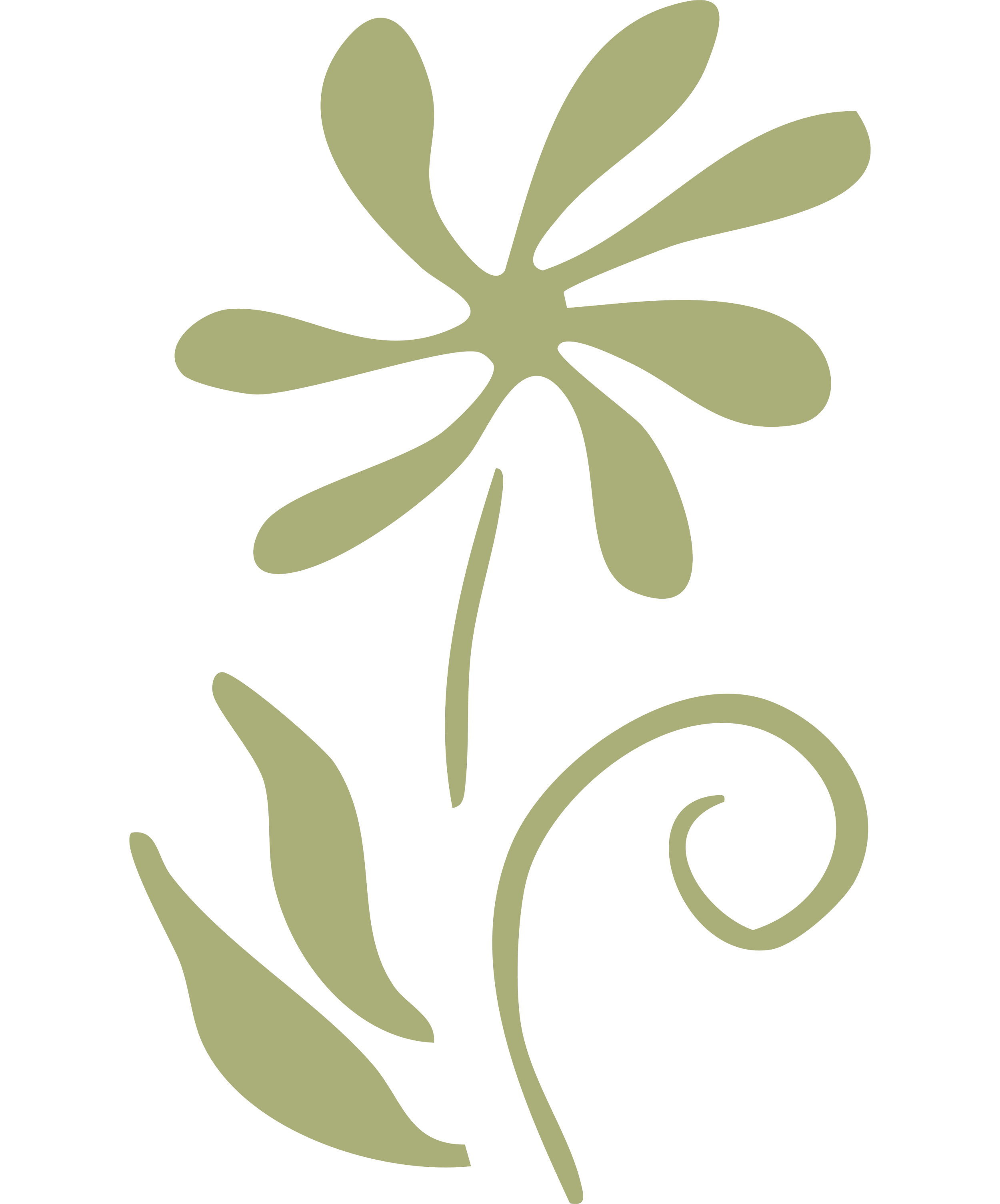 A stylized, minimalist illustration of a plant or flower with curving stems and leaves in light green on a black background.
